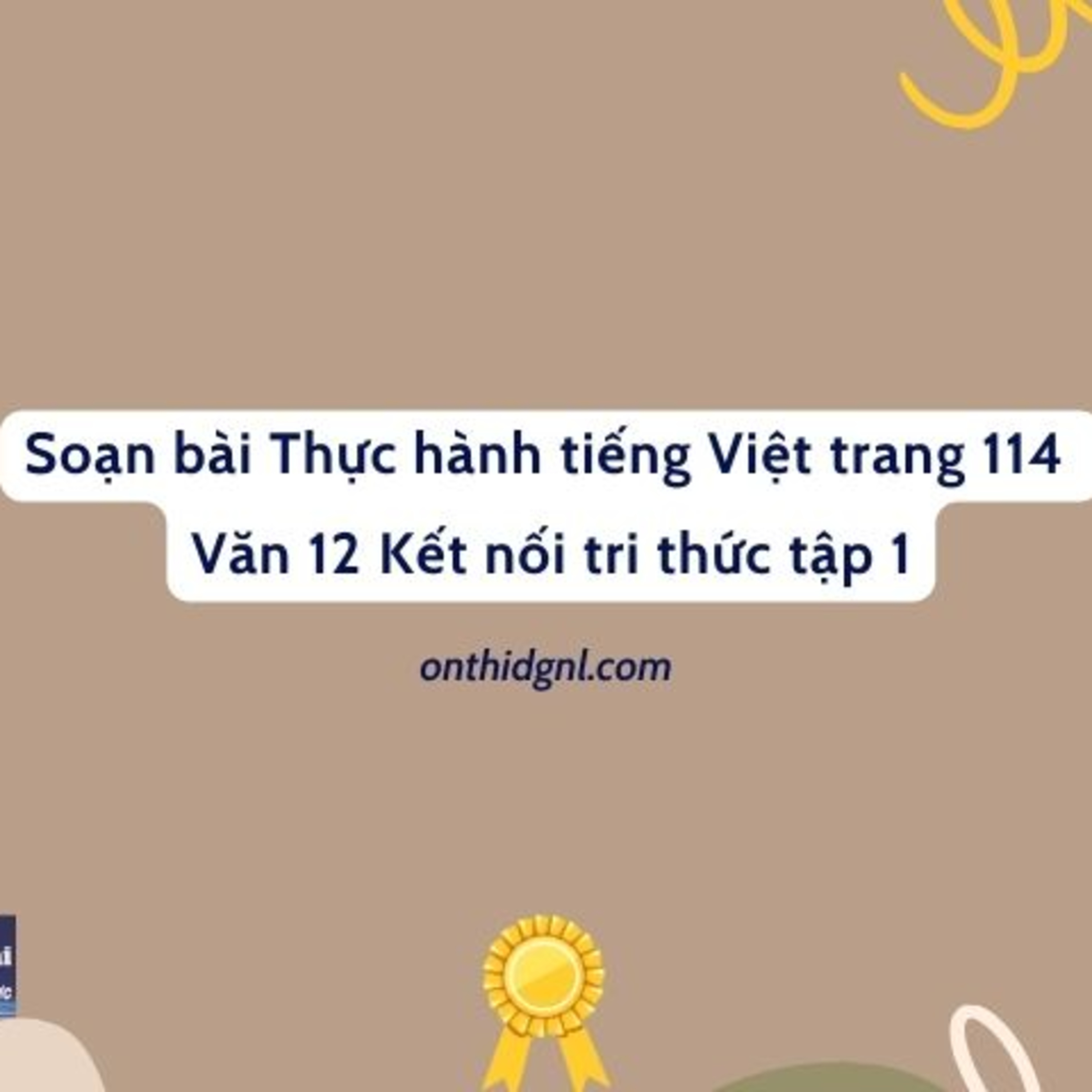 Thực hành tiếng Việt trang 114 Văn 12 Kết nối tri thức tập 1