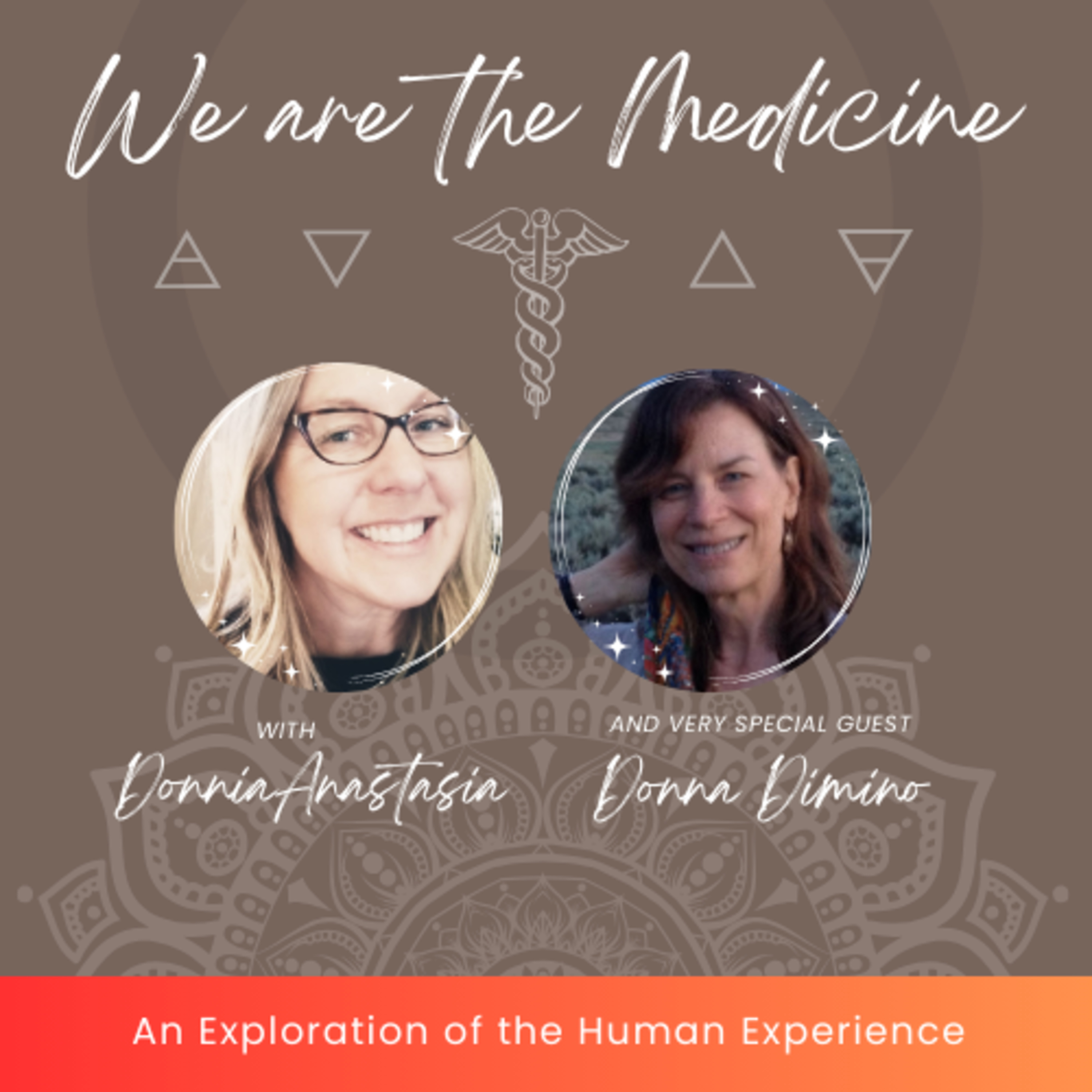 The Art of Being You : Exploring the Human Experience