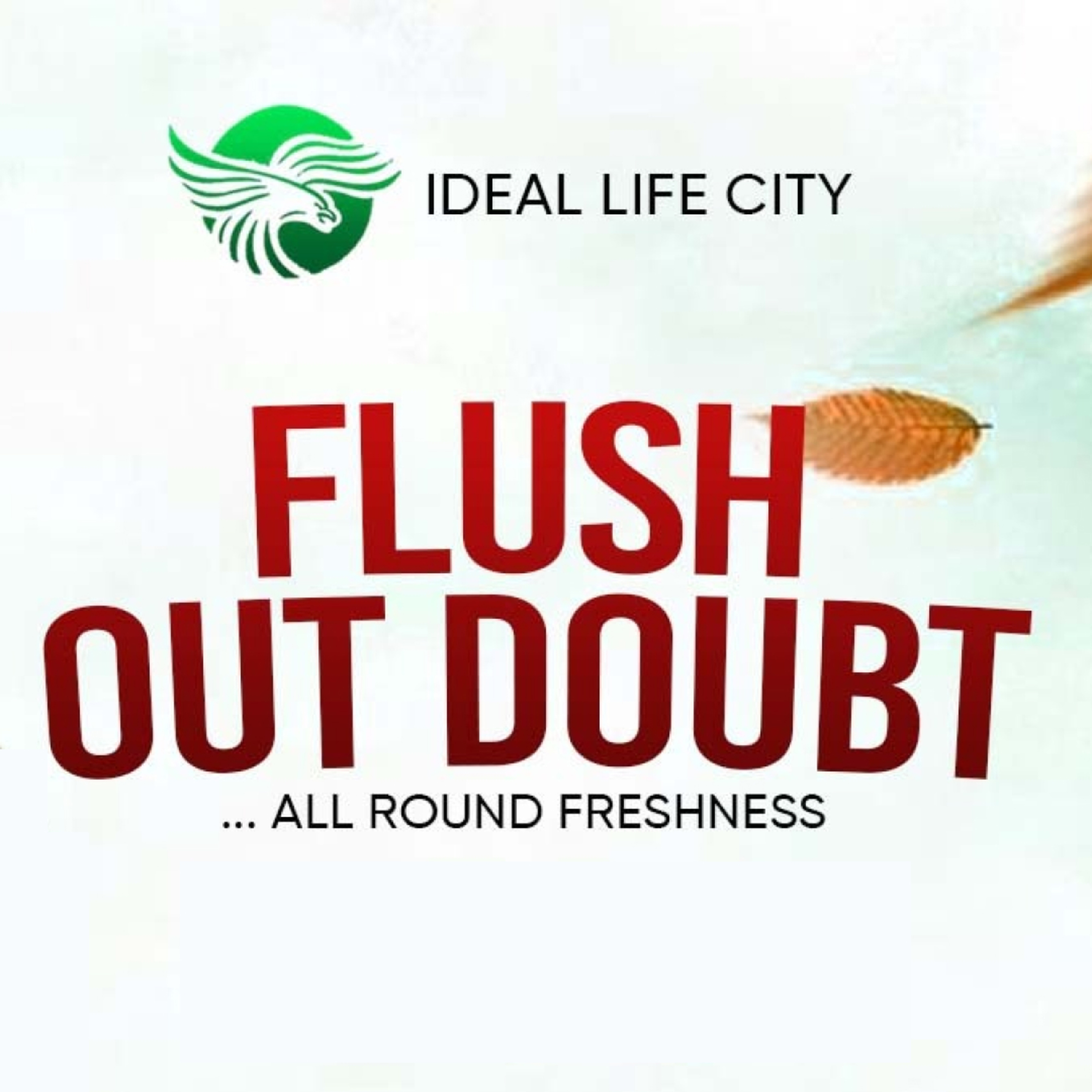 FLUSH OUT DOUBT // 28TH JULY, 2024. episode artwork