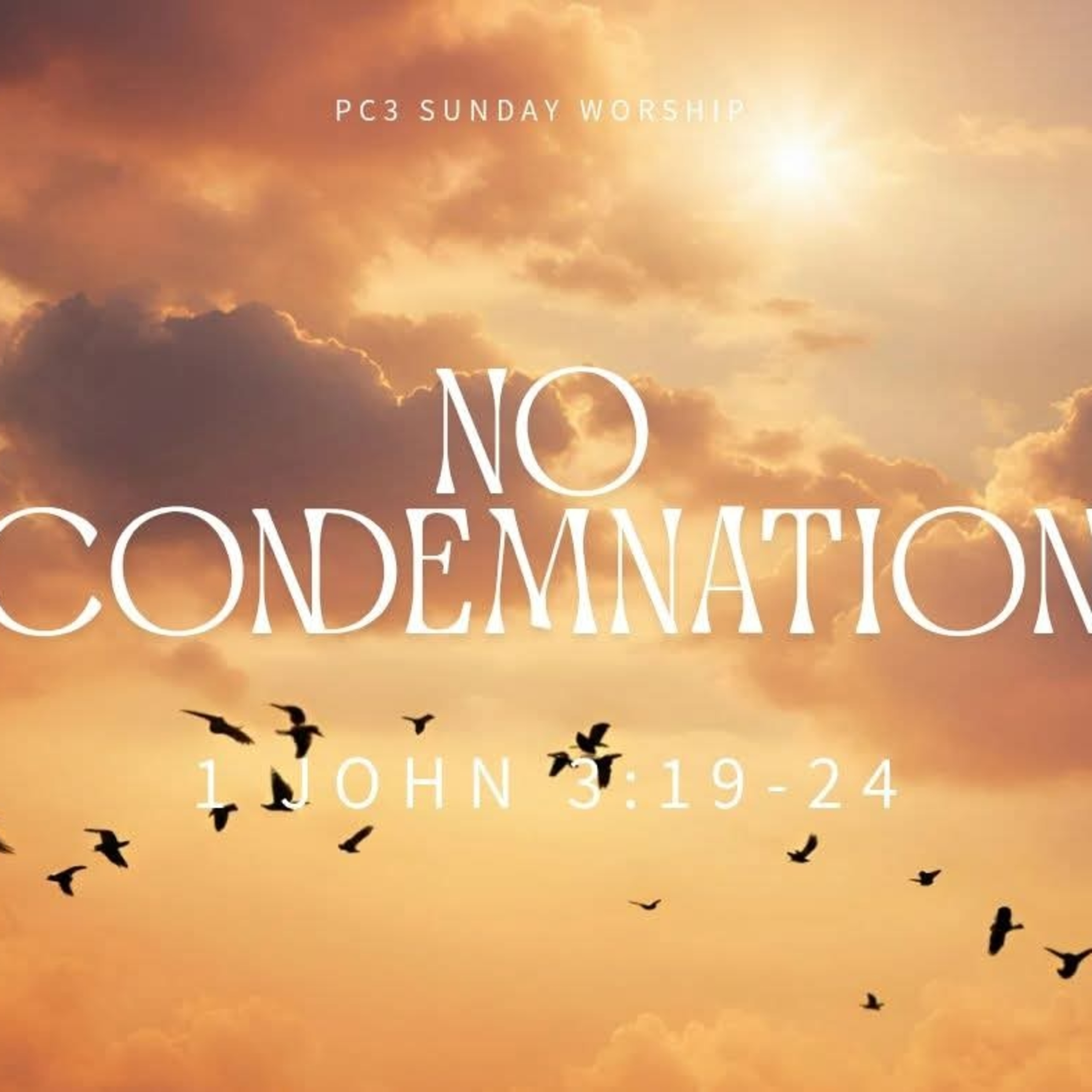 No Condemnation 1 John 3:19-24