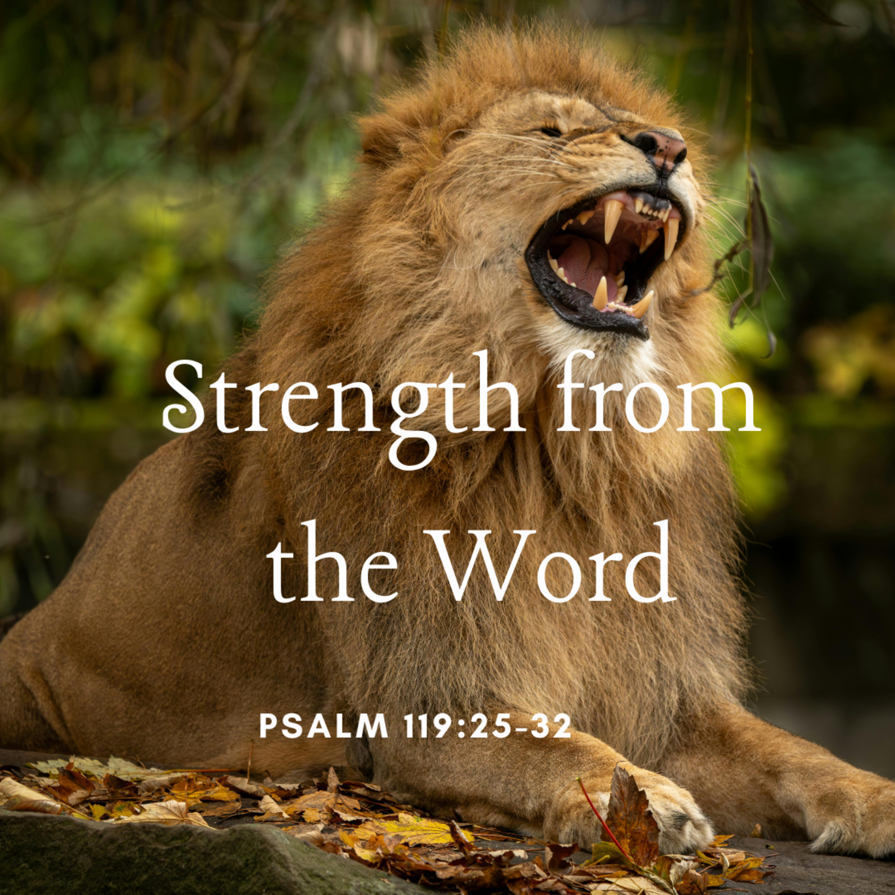 Strength from the Word episode artwork