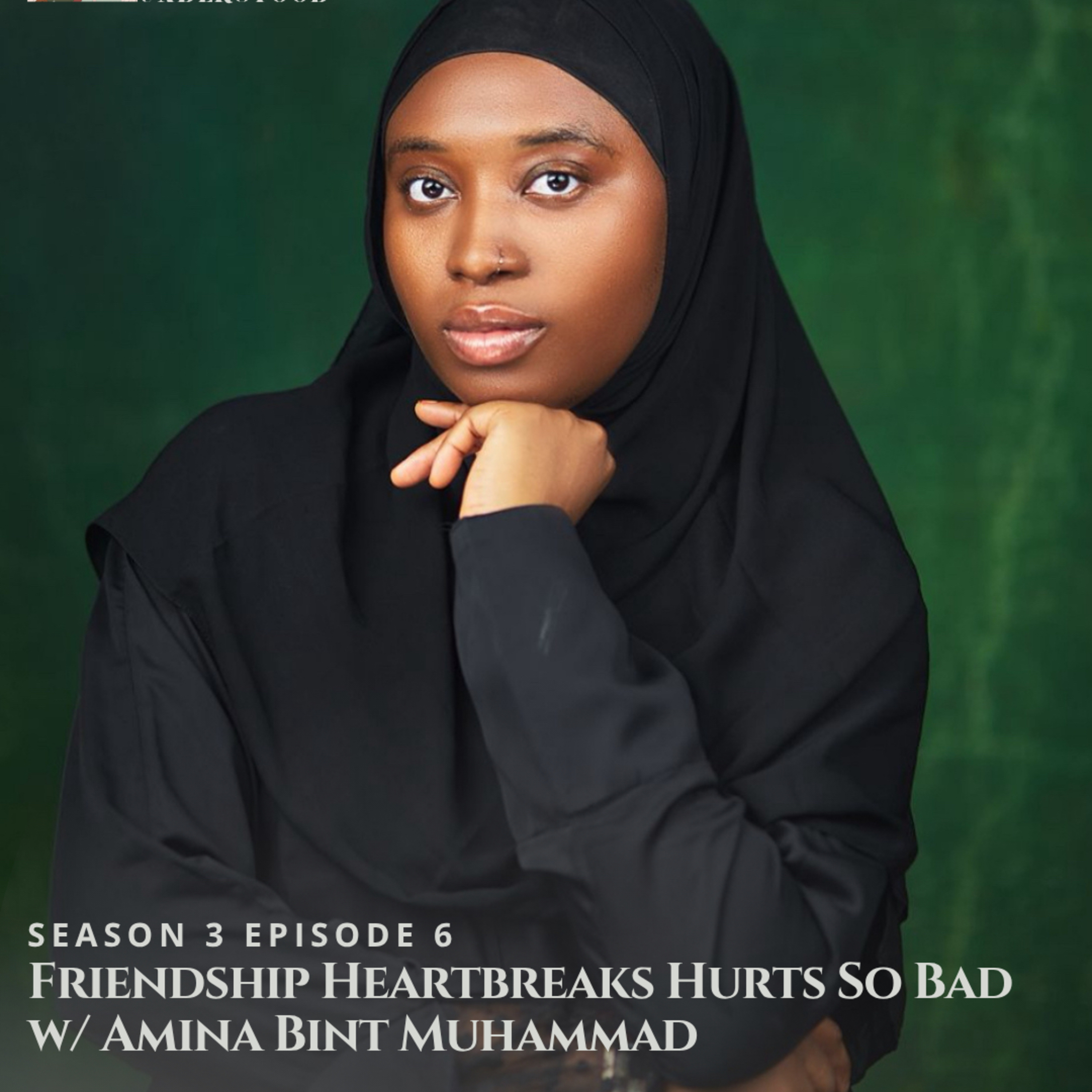 Never Fully Understood