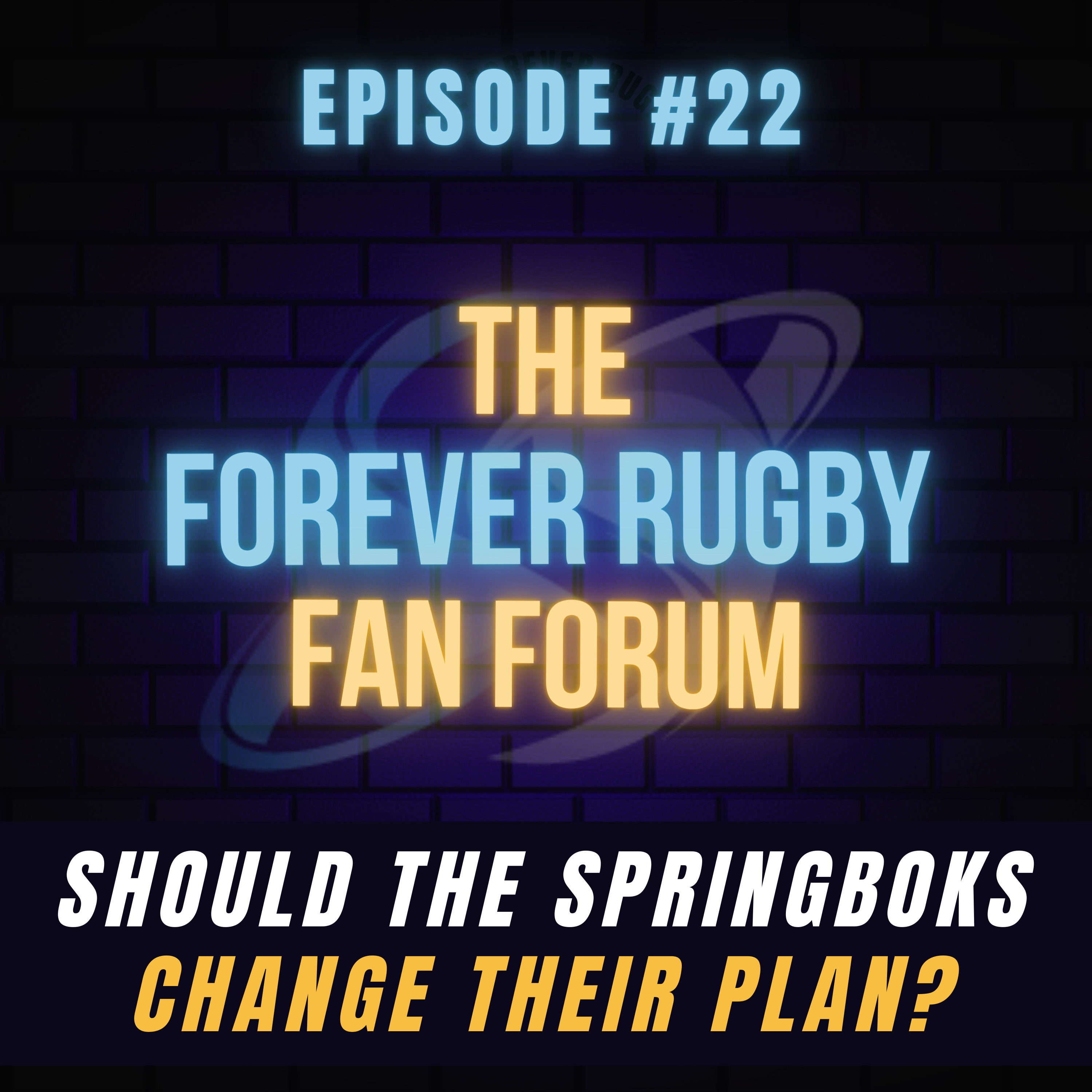 #22 | Should the Springboks change their gameplan?