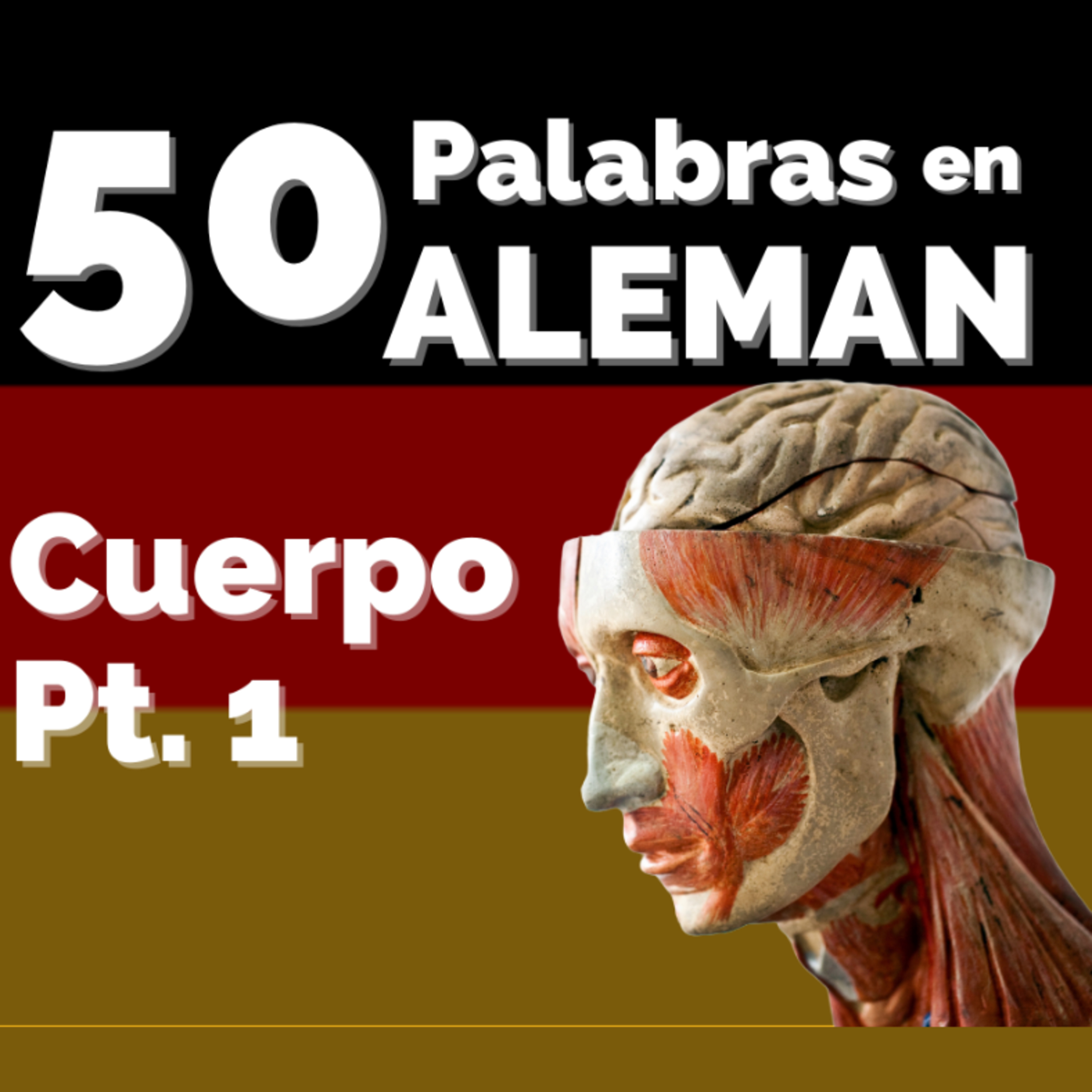 Aprende Vocabulario en Alemán/Deutsch/Alemania/Deutschland