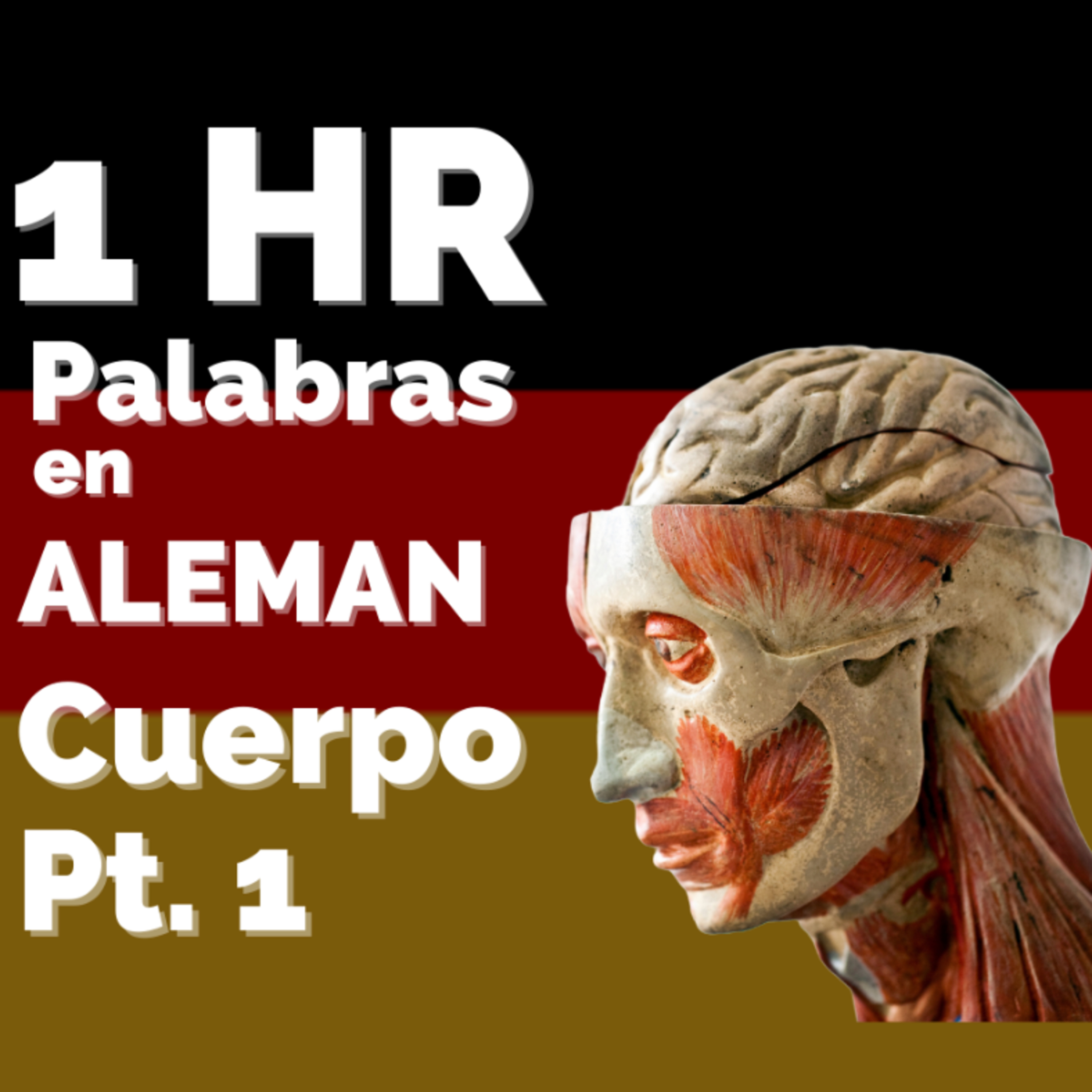 Aprende Vocabulario en Alemán/Deutsch/Alemania/Deutschland