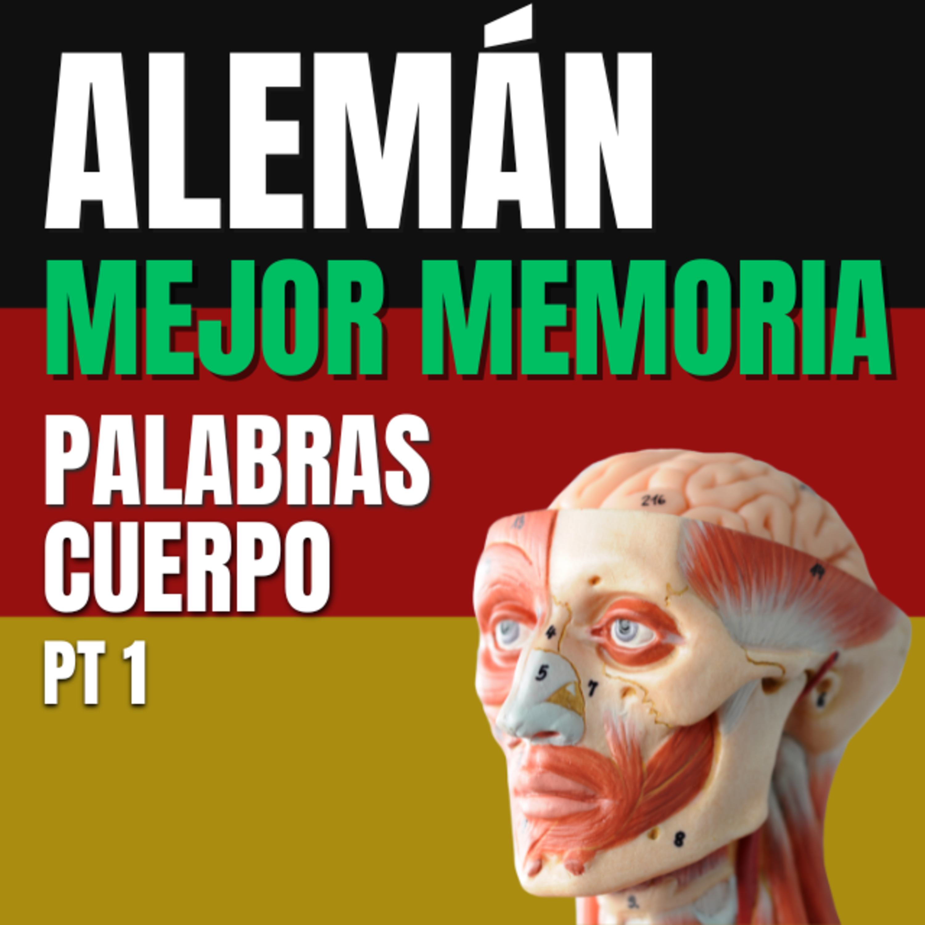 Aprende Vocabulario en Alemán/Deutsch/Alemania/Deutschland
