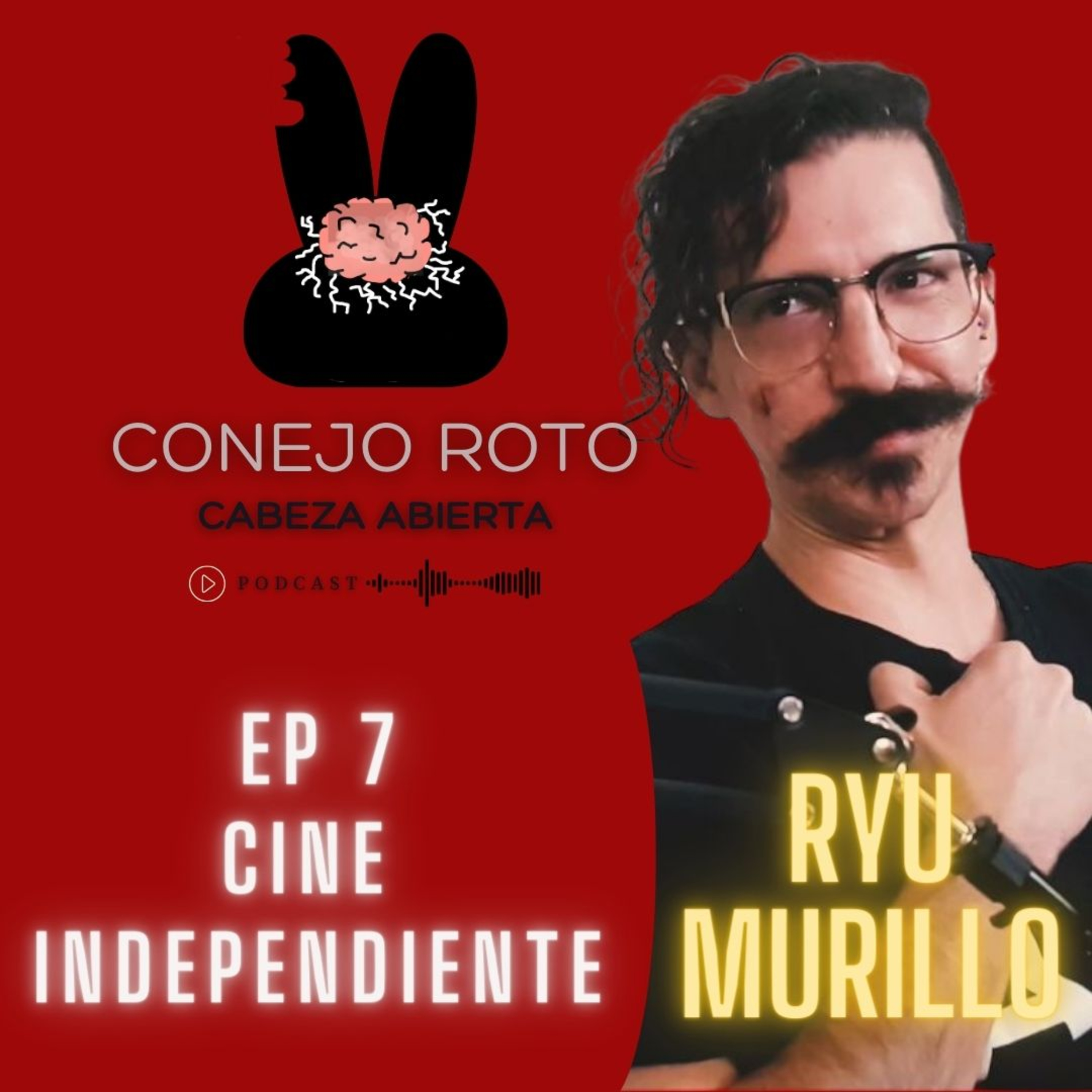 Conejo Roto Cabeza Abierta