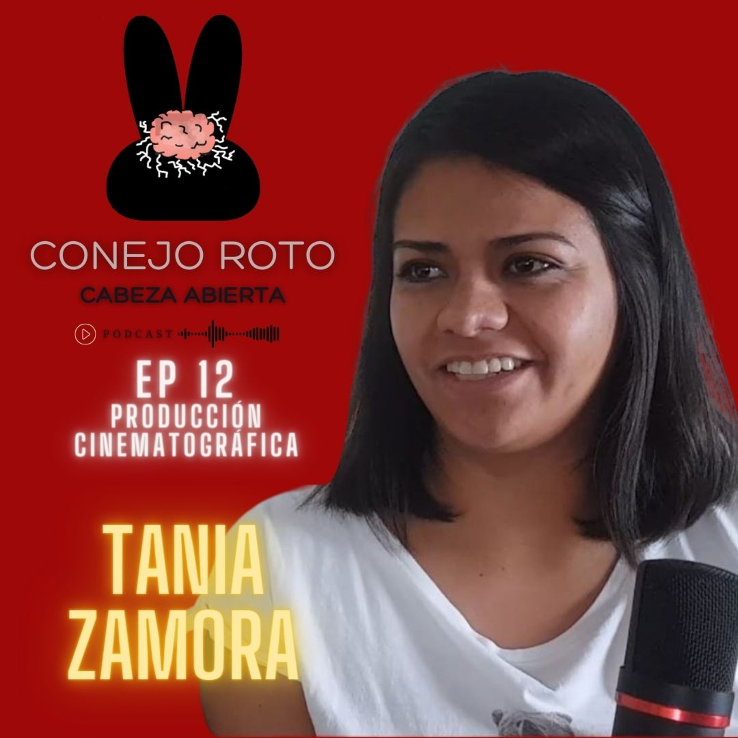 Conejo Roto Cabeza Abierta