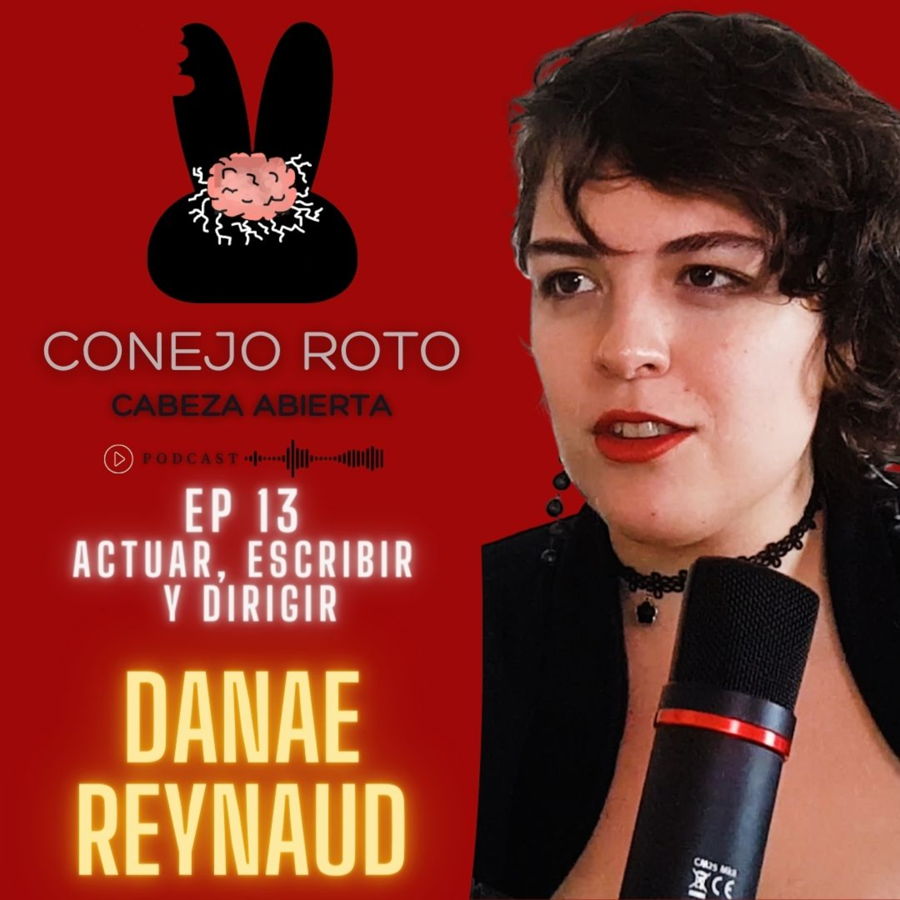 Conejo Roto Cabeza Abierta