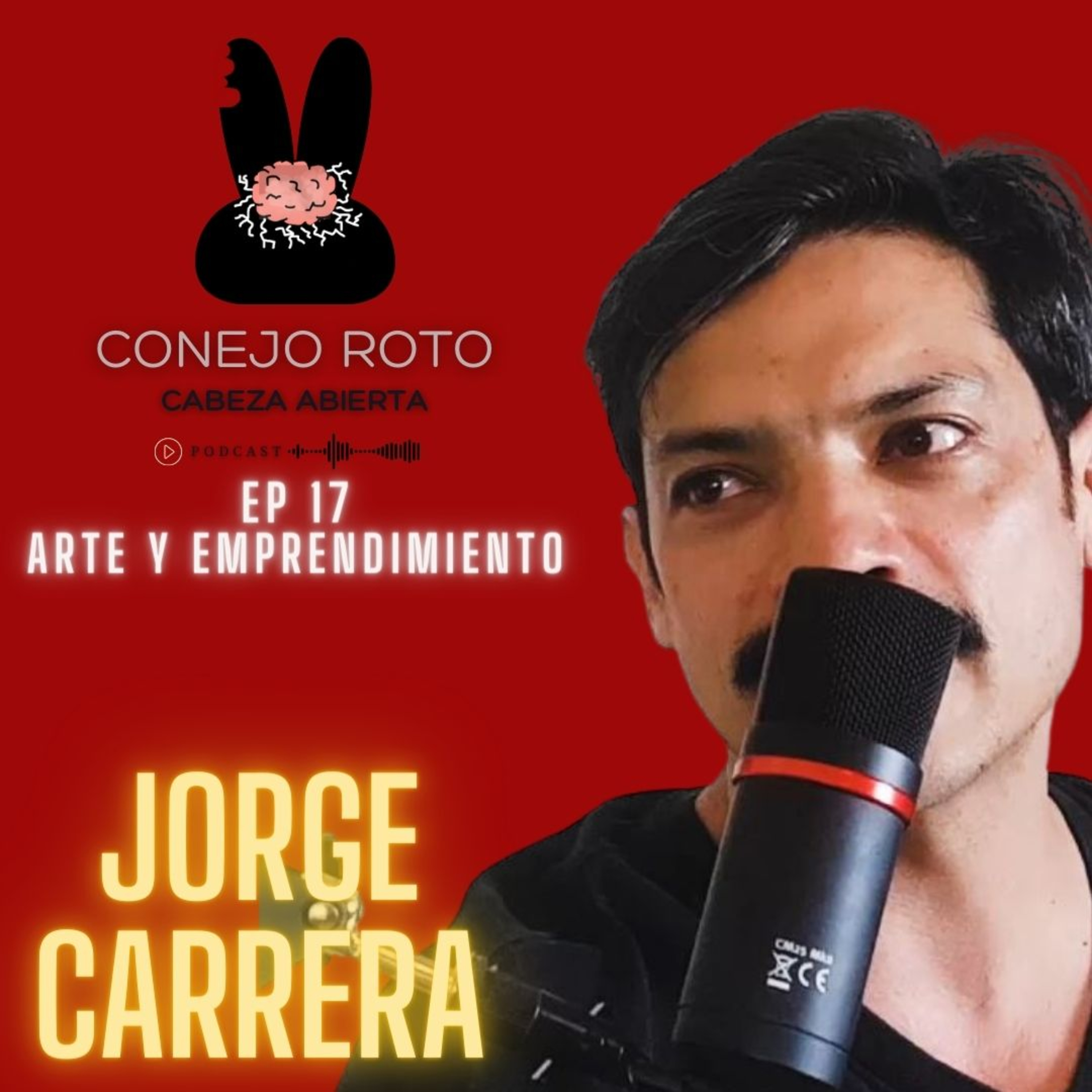 Conejo Roto Cabeza Abierta