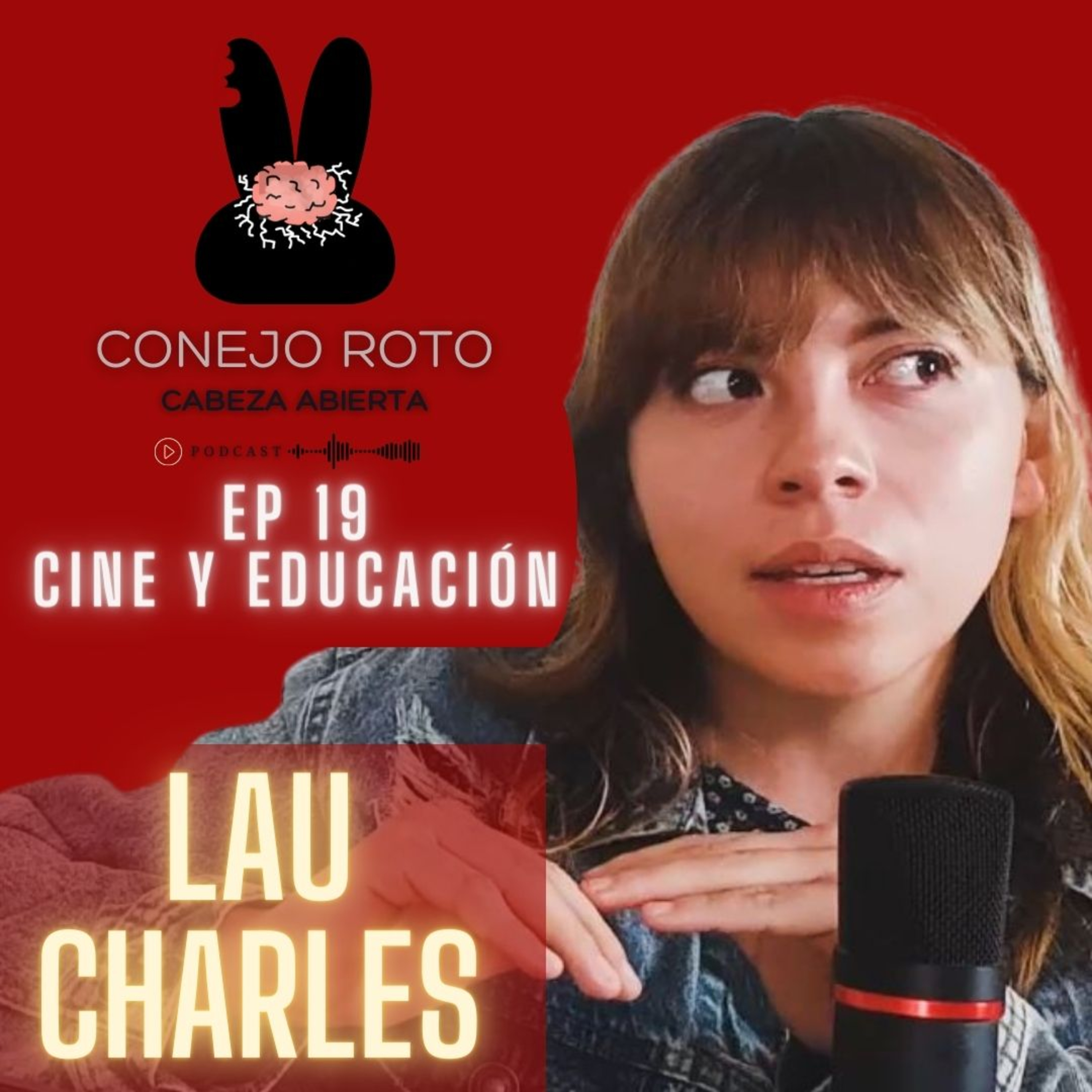 Conejo Roto Cabeza Abierta