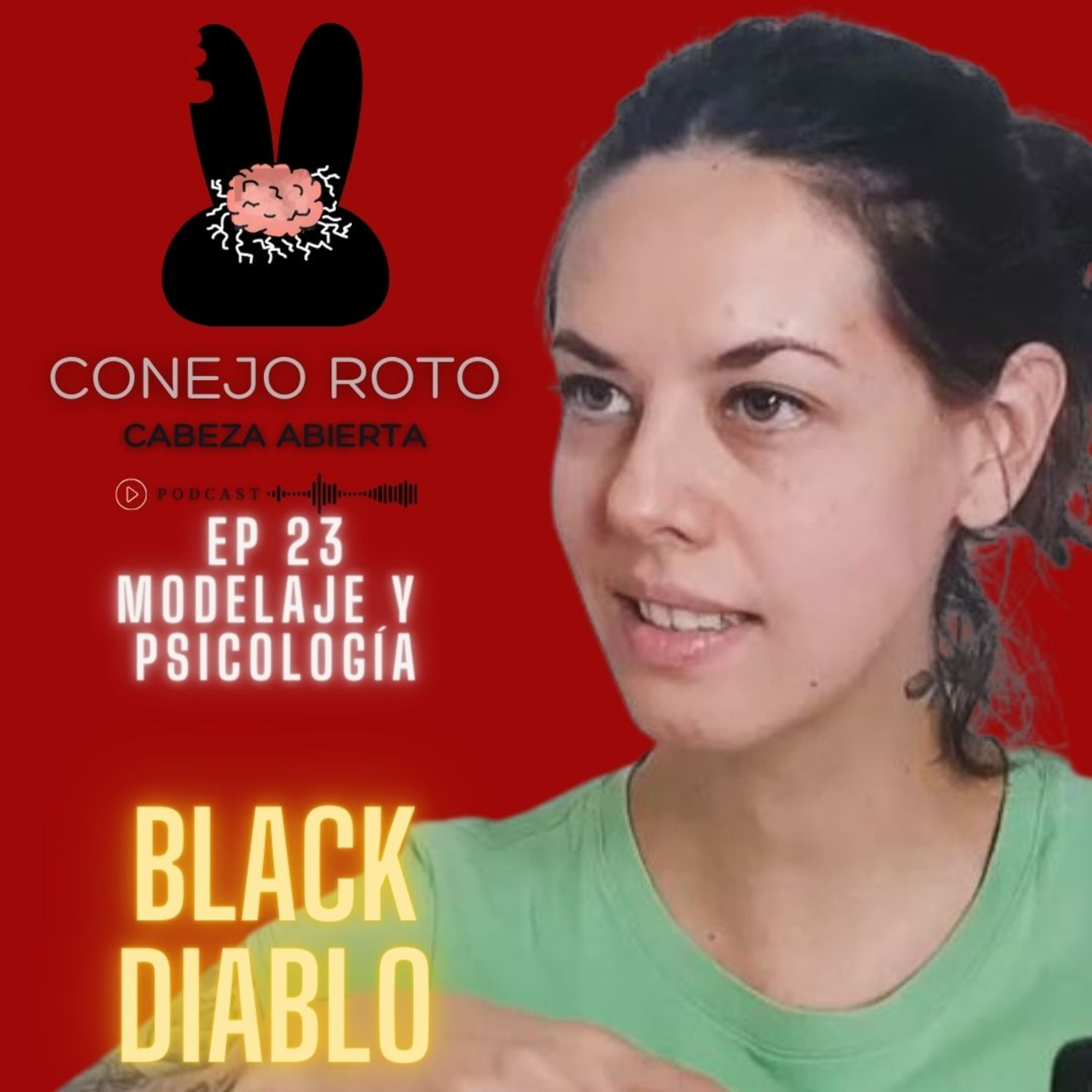 Conejo Roto Cabeza Abierta