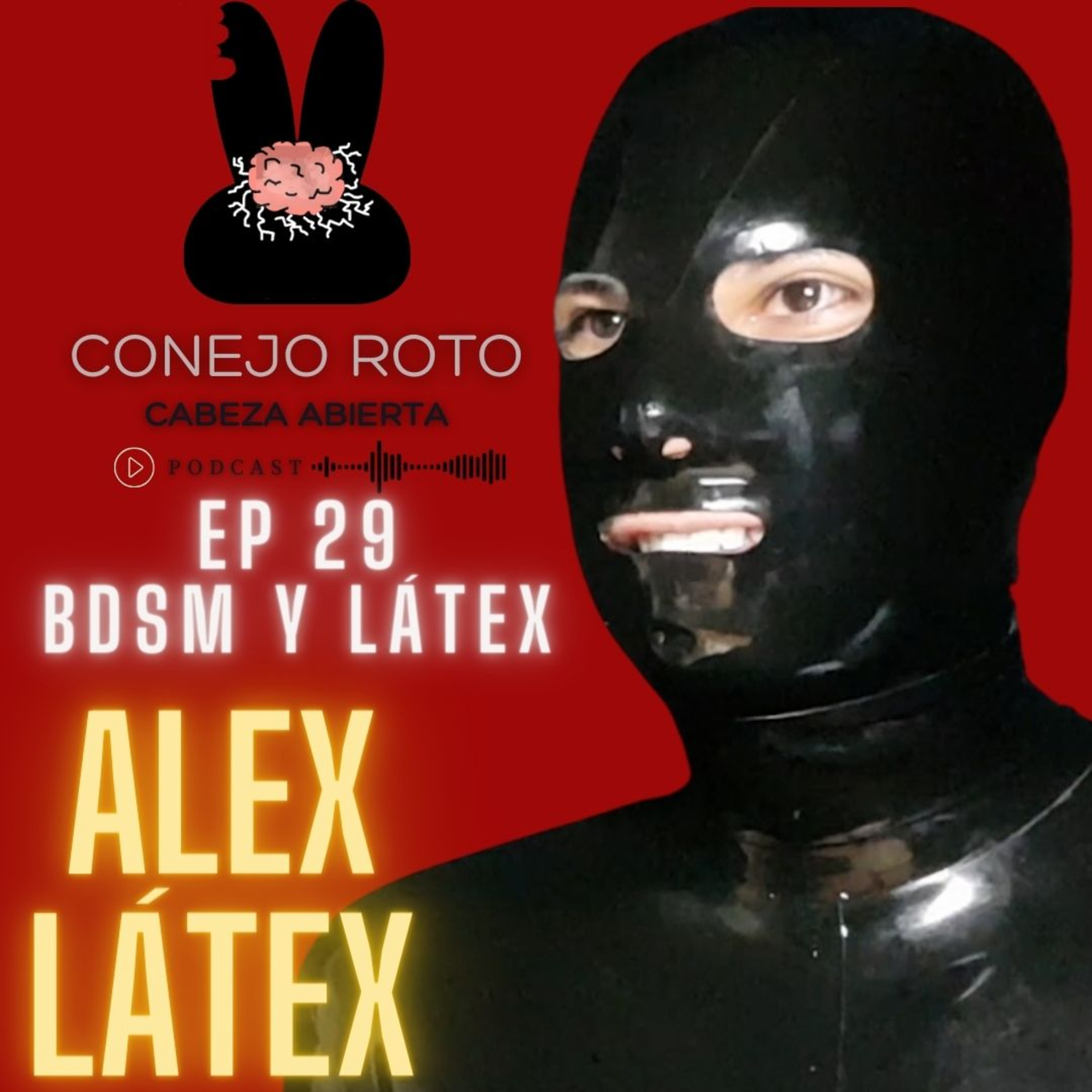 Conejo Roto Cabeza Abierta