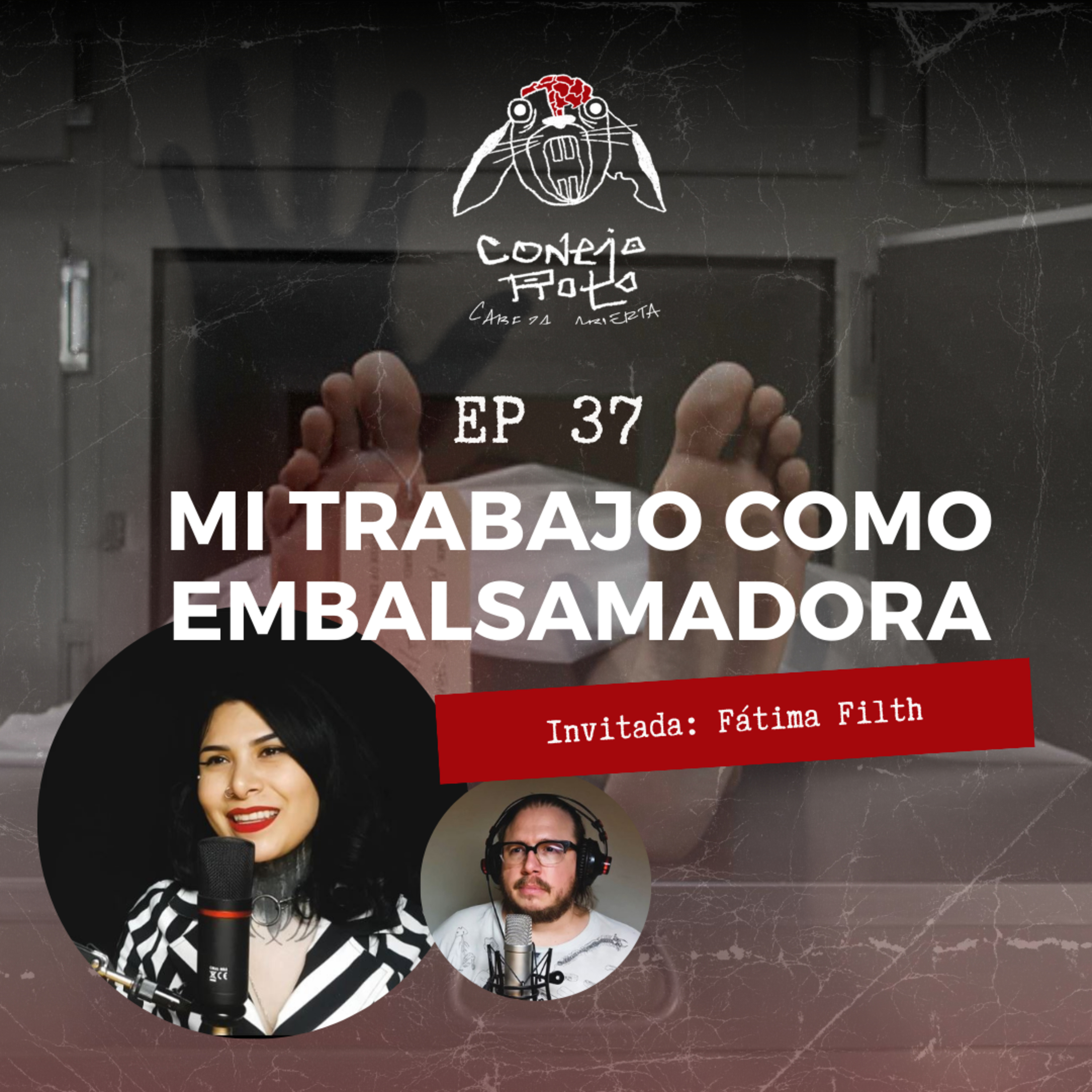 Conejo Roto Cabeza Abierta