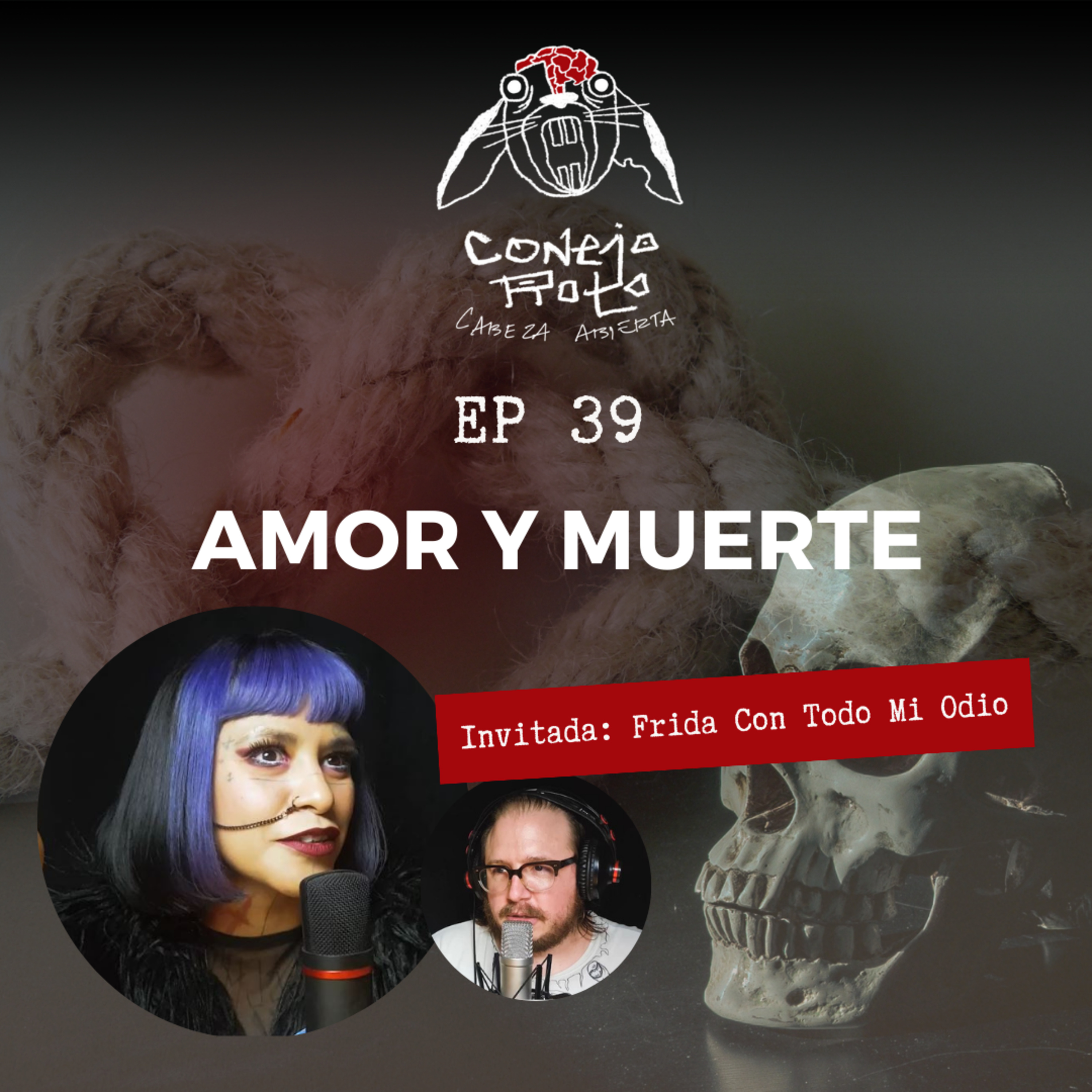 Conejo Roto Cabeza Abierta