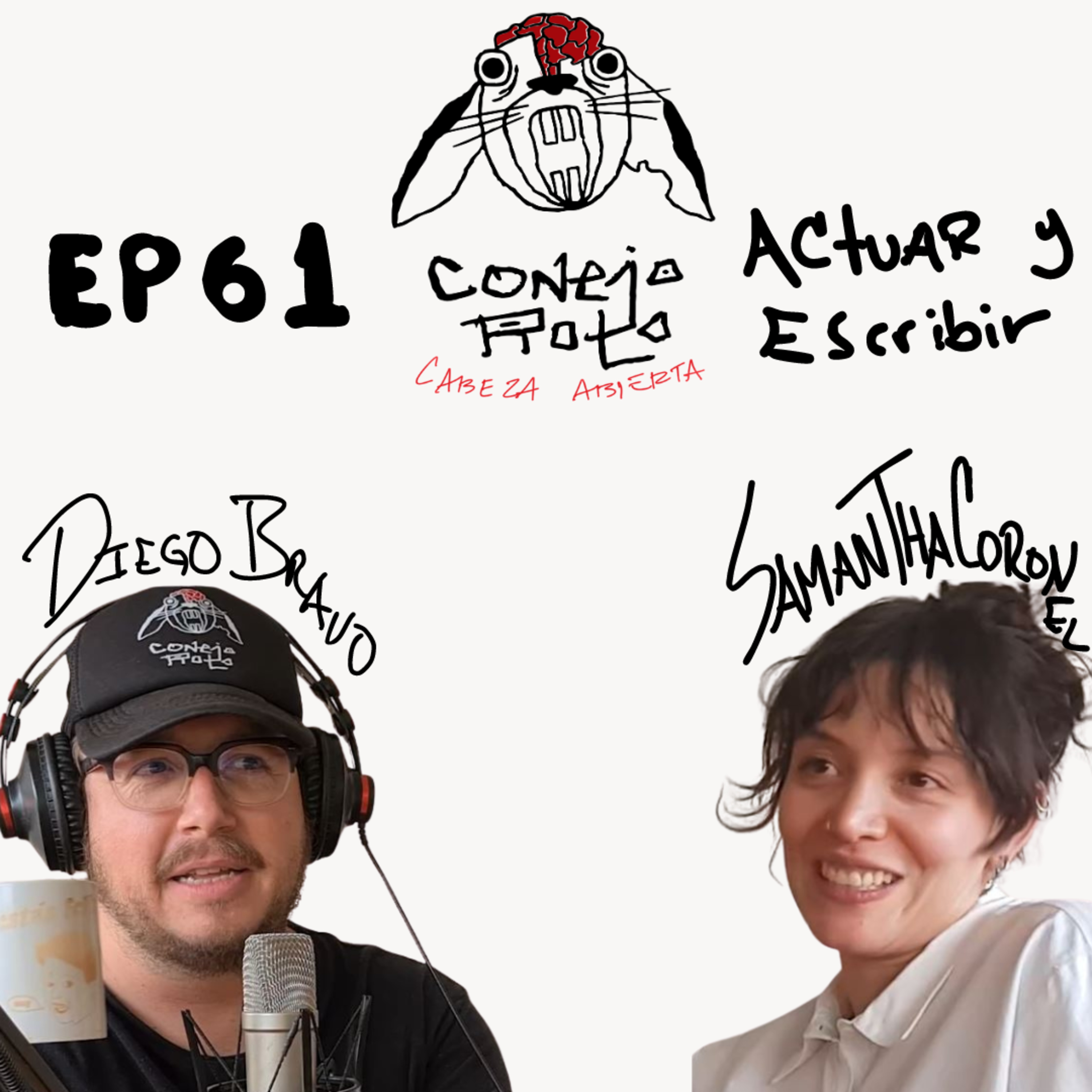 Conejo Roto Cabeza Abierta