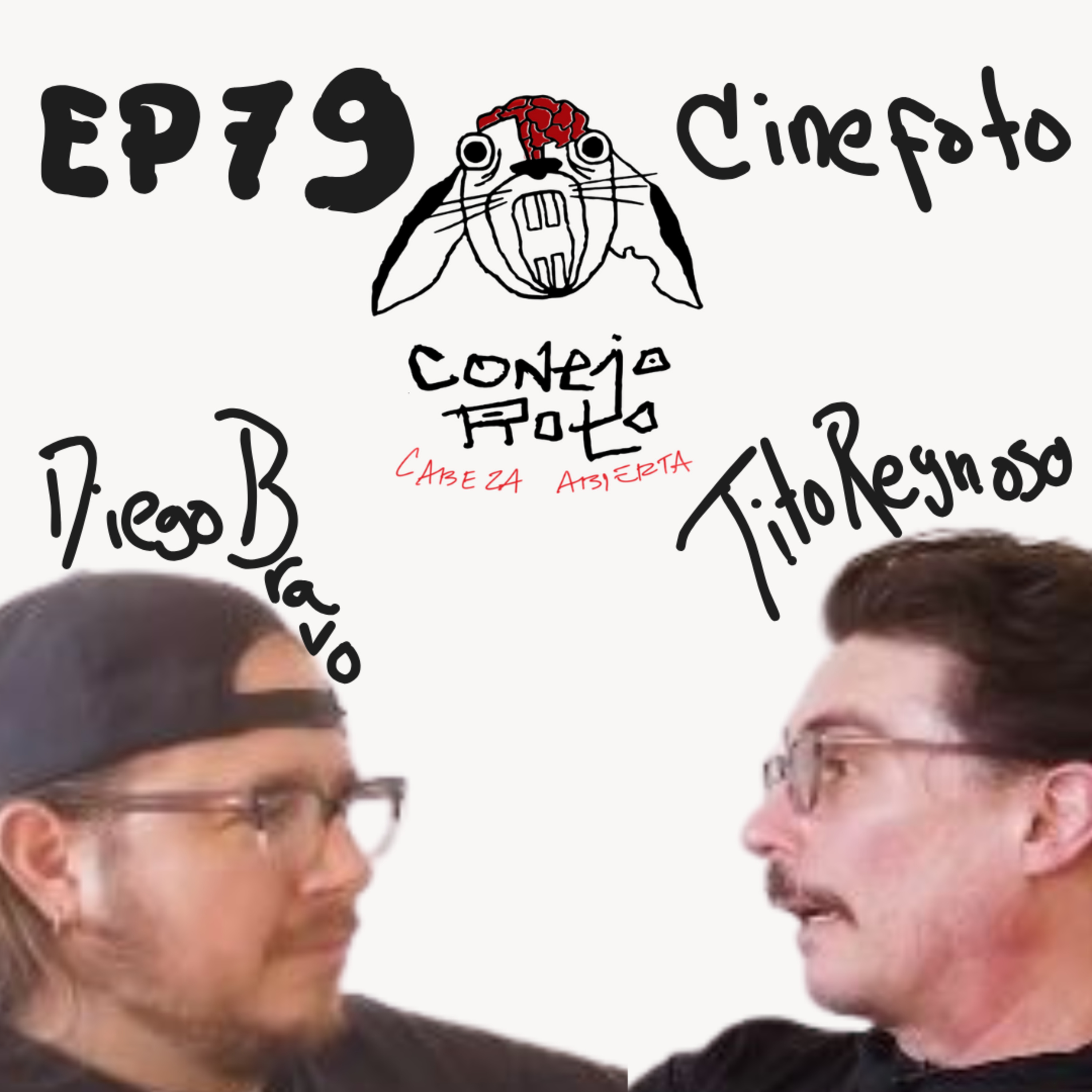 Conejo Roto Cabeza Abierta