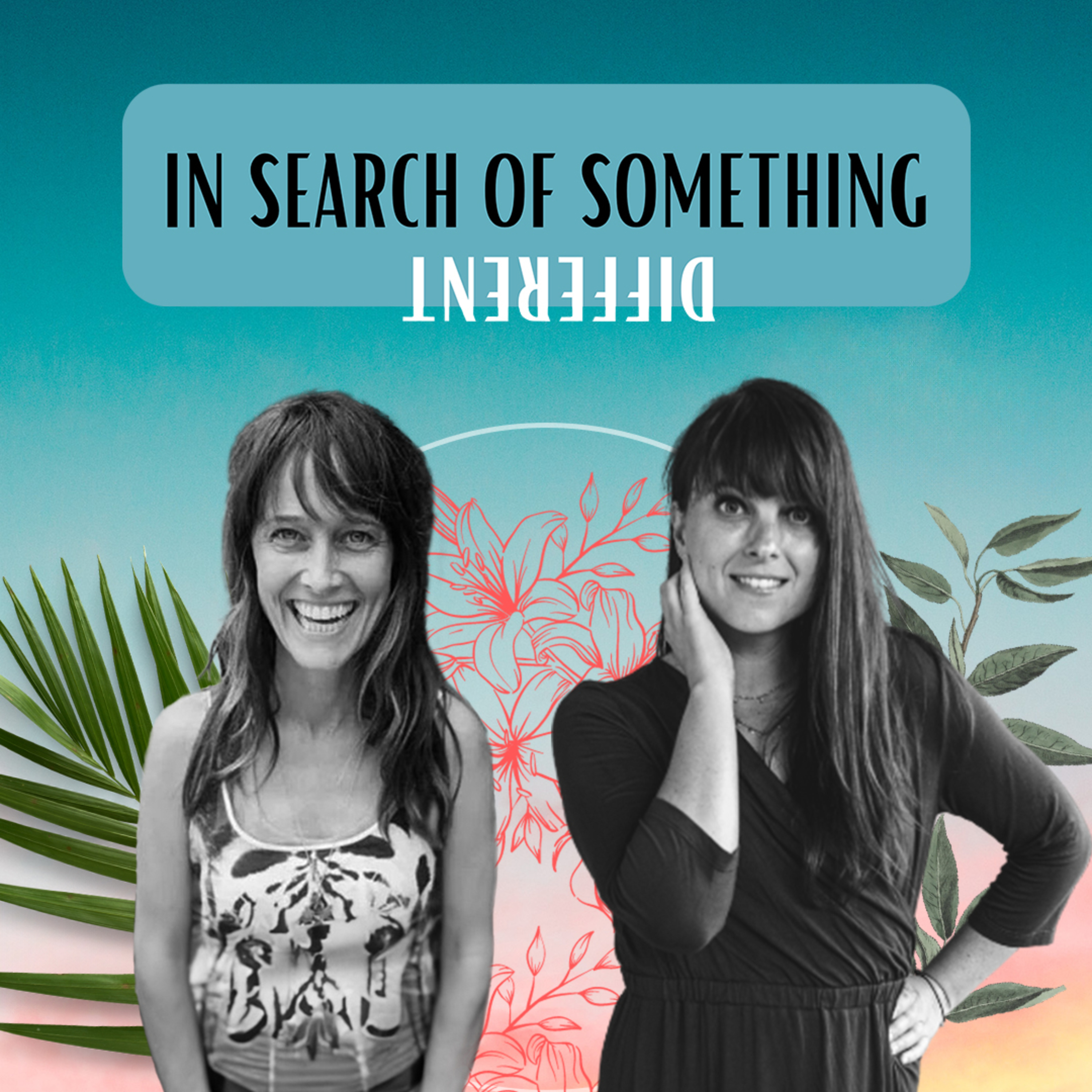 In Search of Something Different