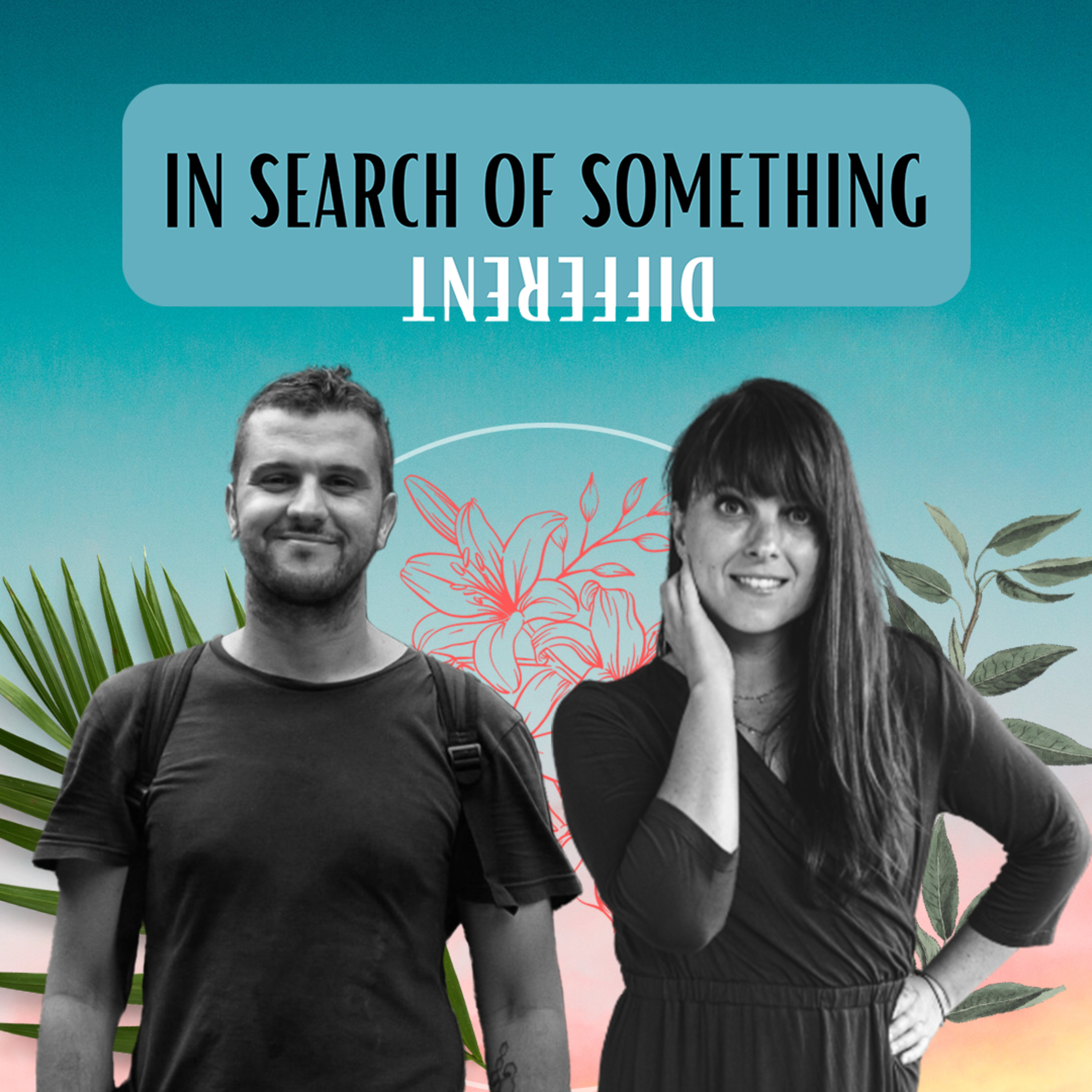 In Search of Something Different