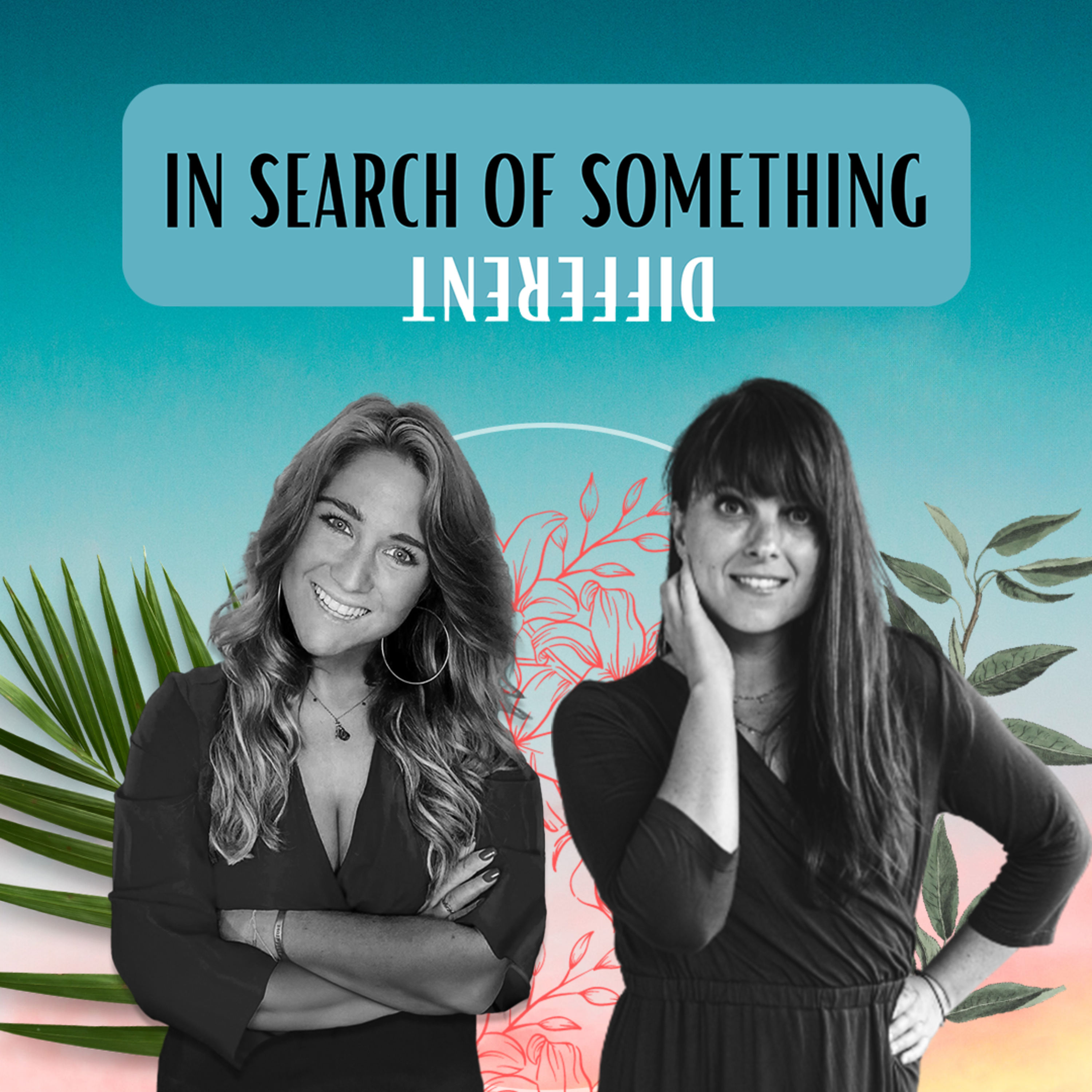 In Search of Something Different