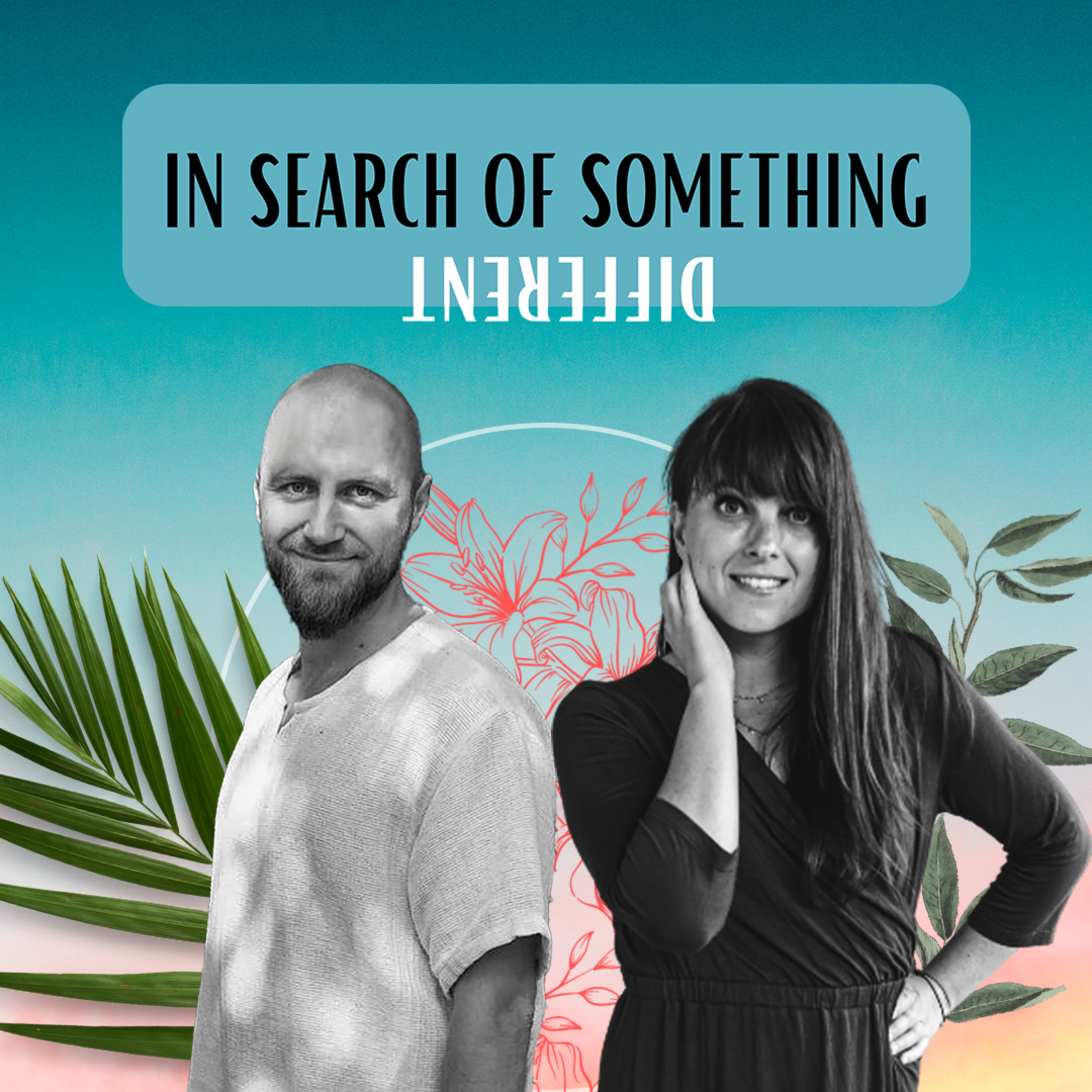 In Search of Something Different