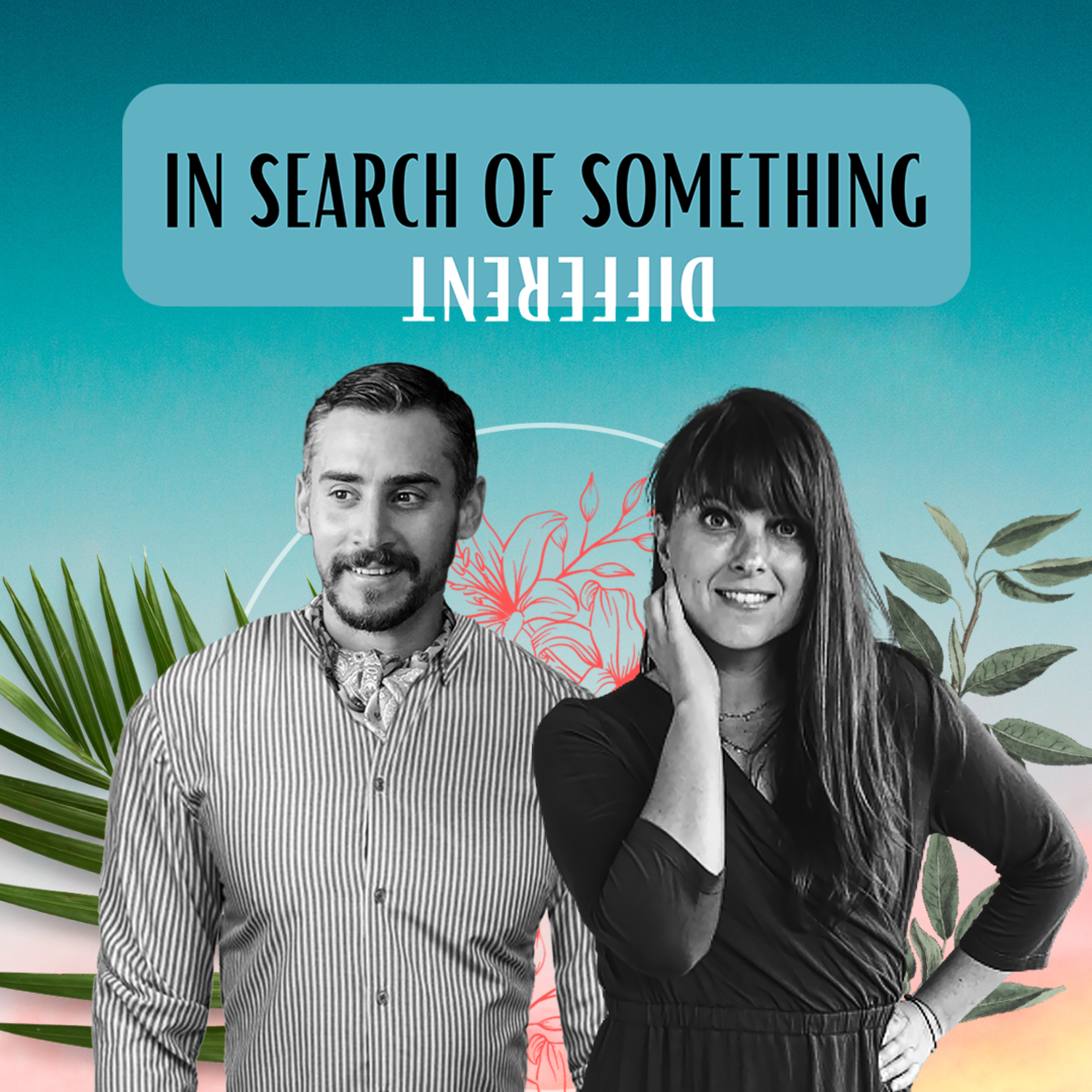 In Search of Something Different
