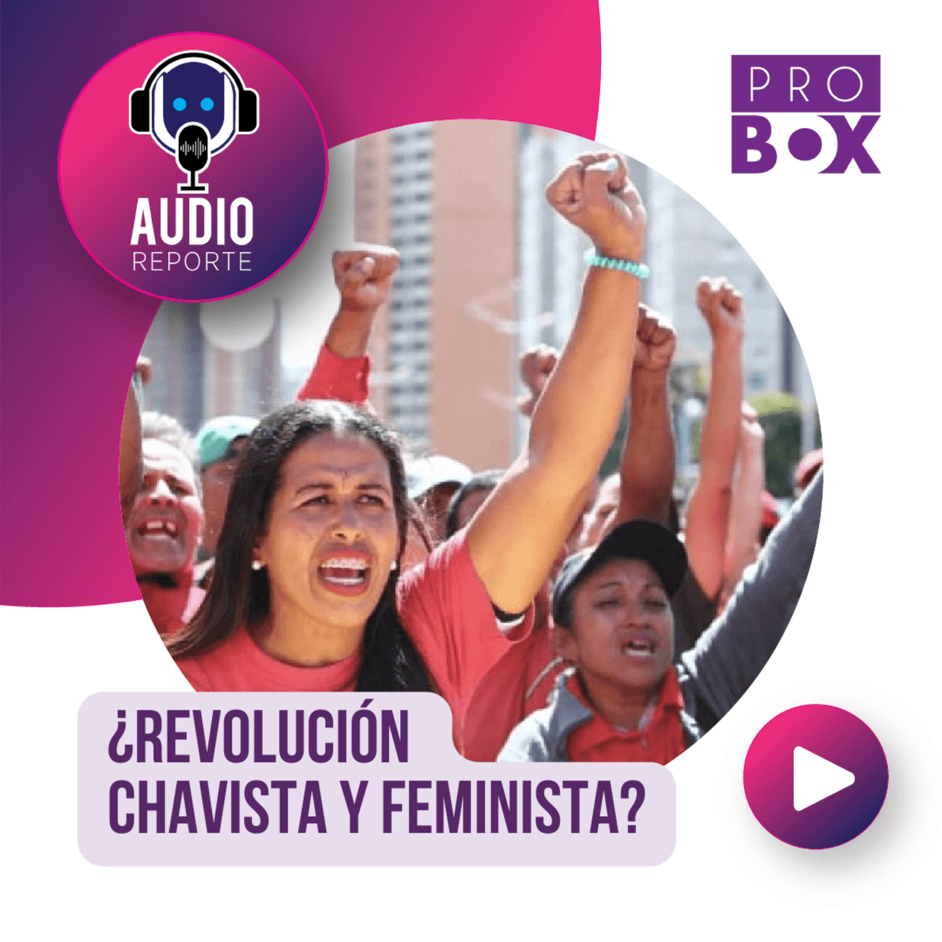 AudioReporte ProBox