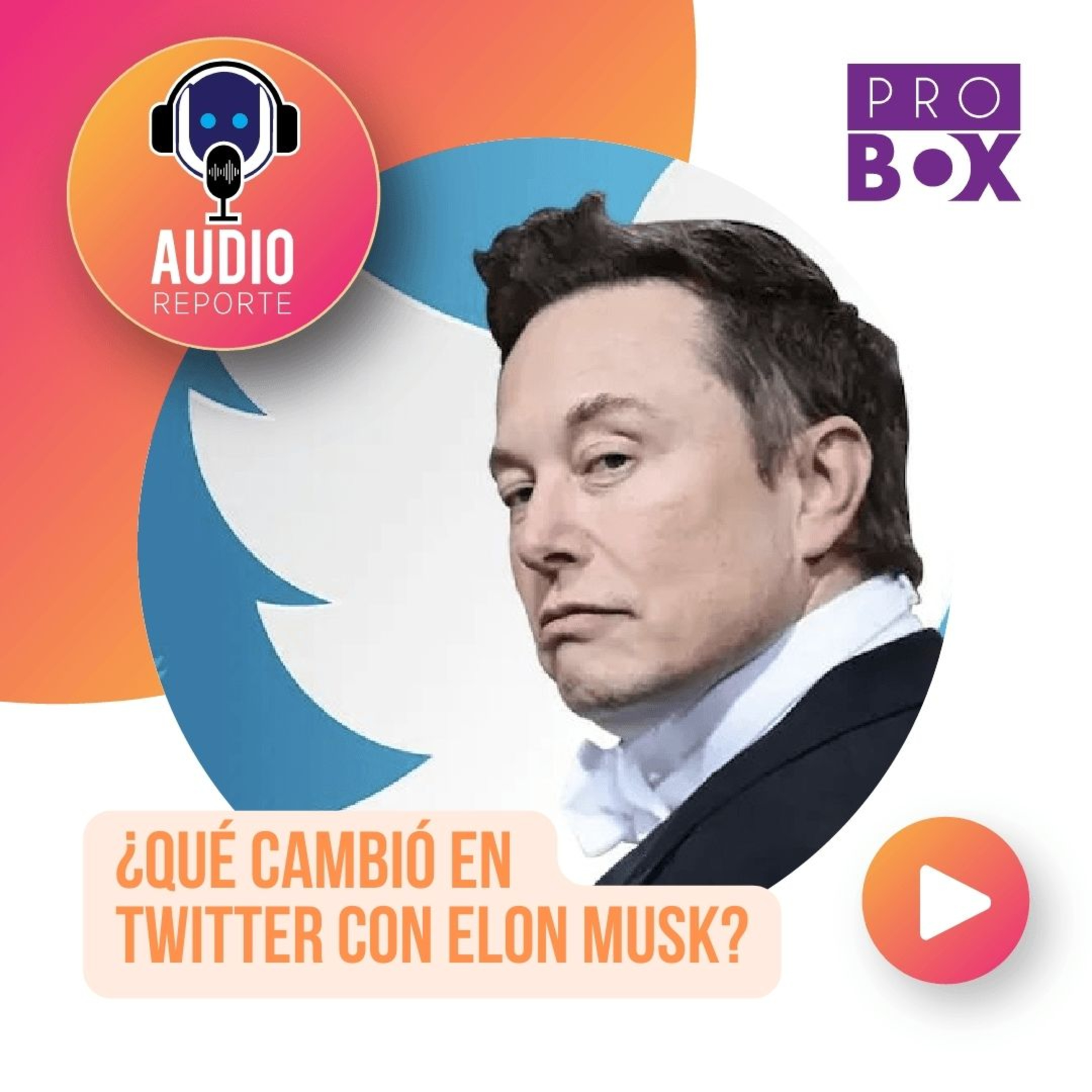 AudioReporte ProBox