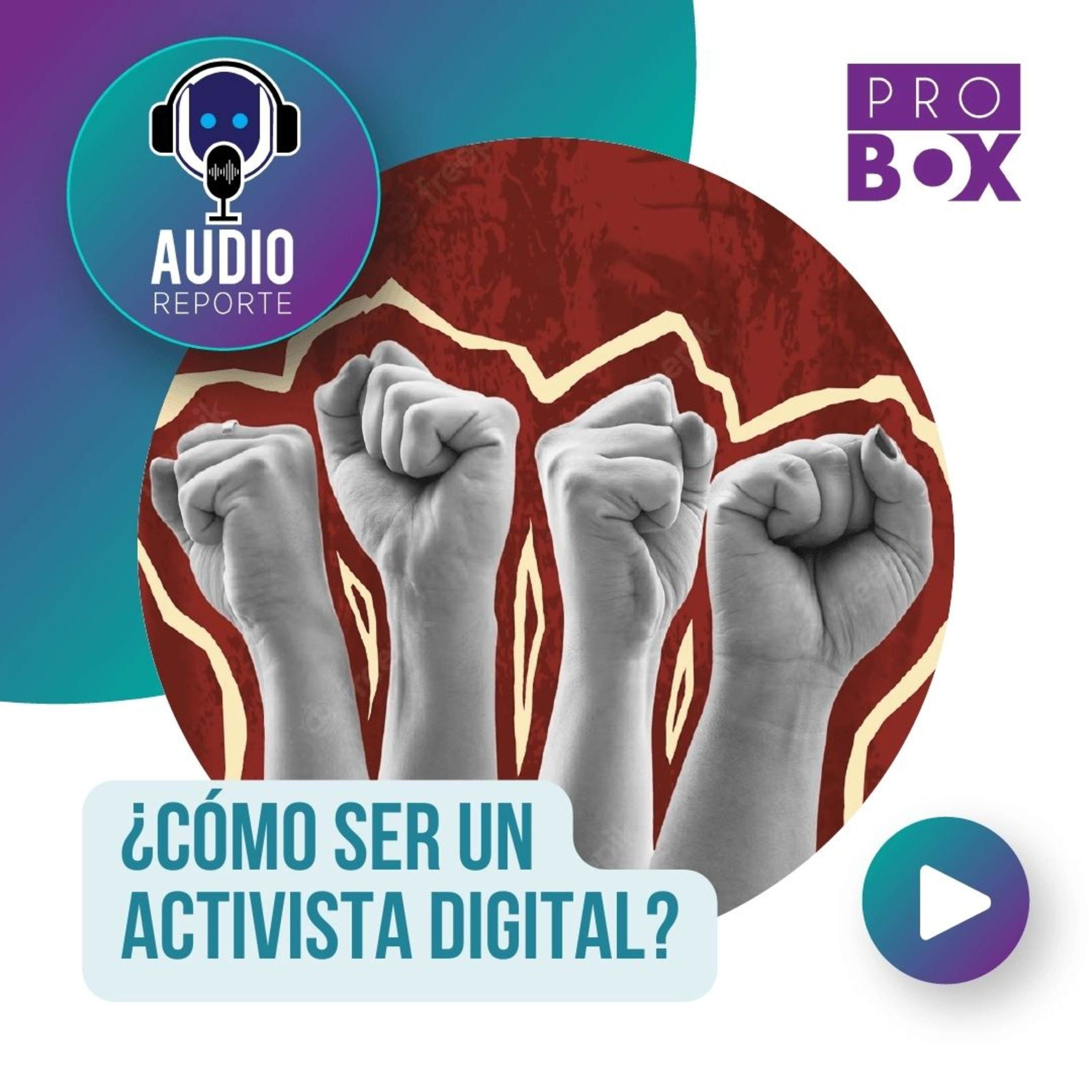 AudioReporte ProBox