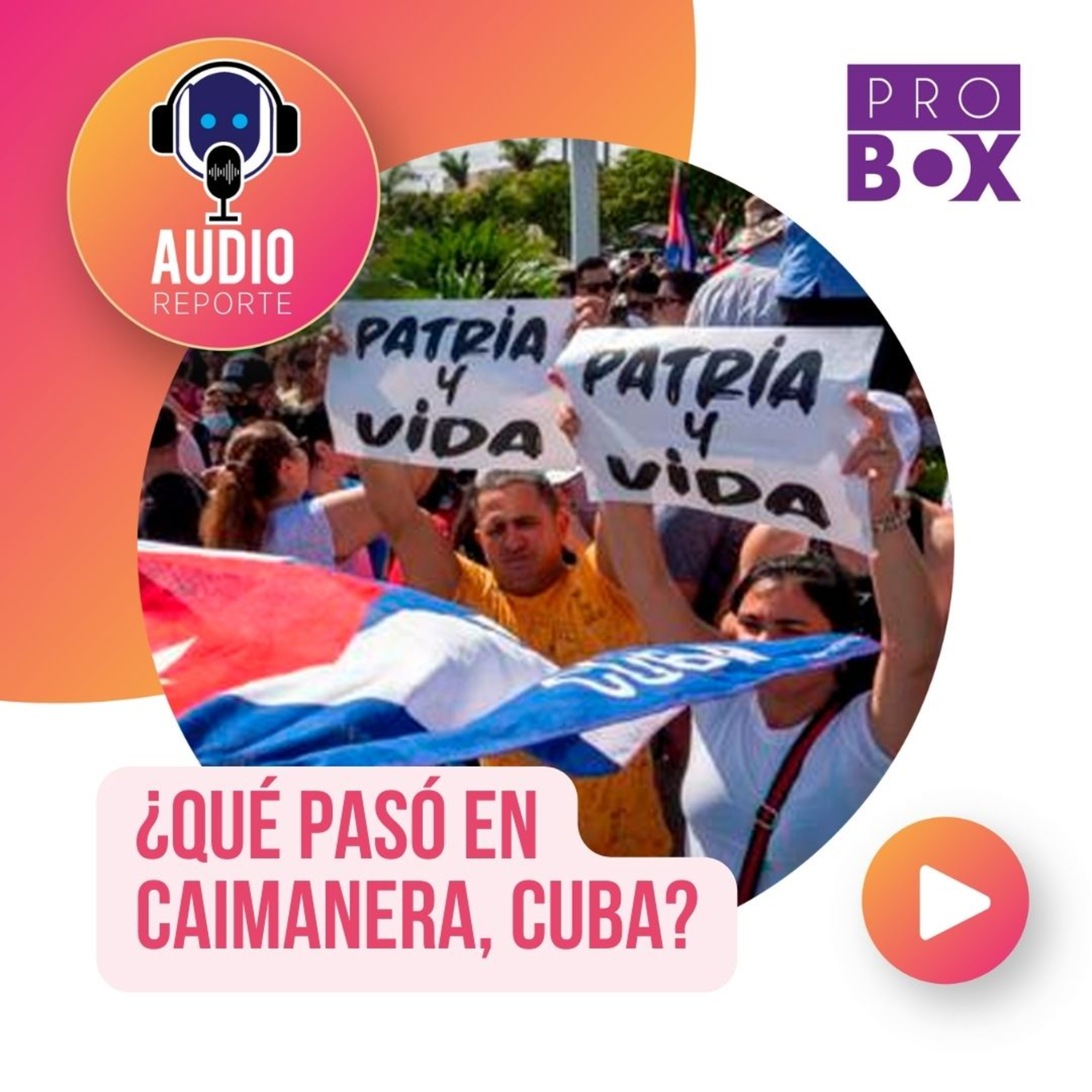 AudioReporte ProBox