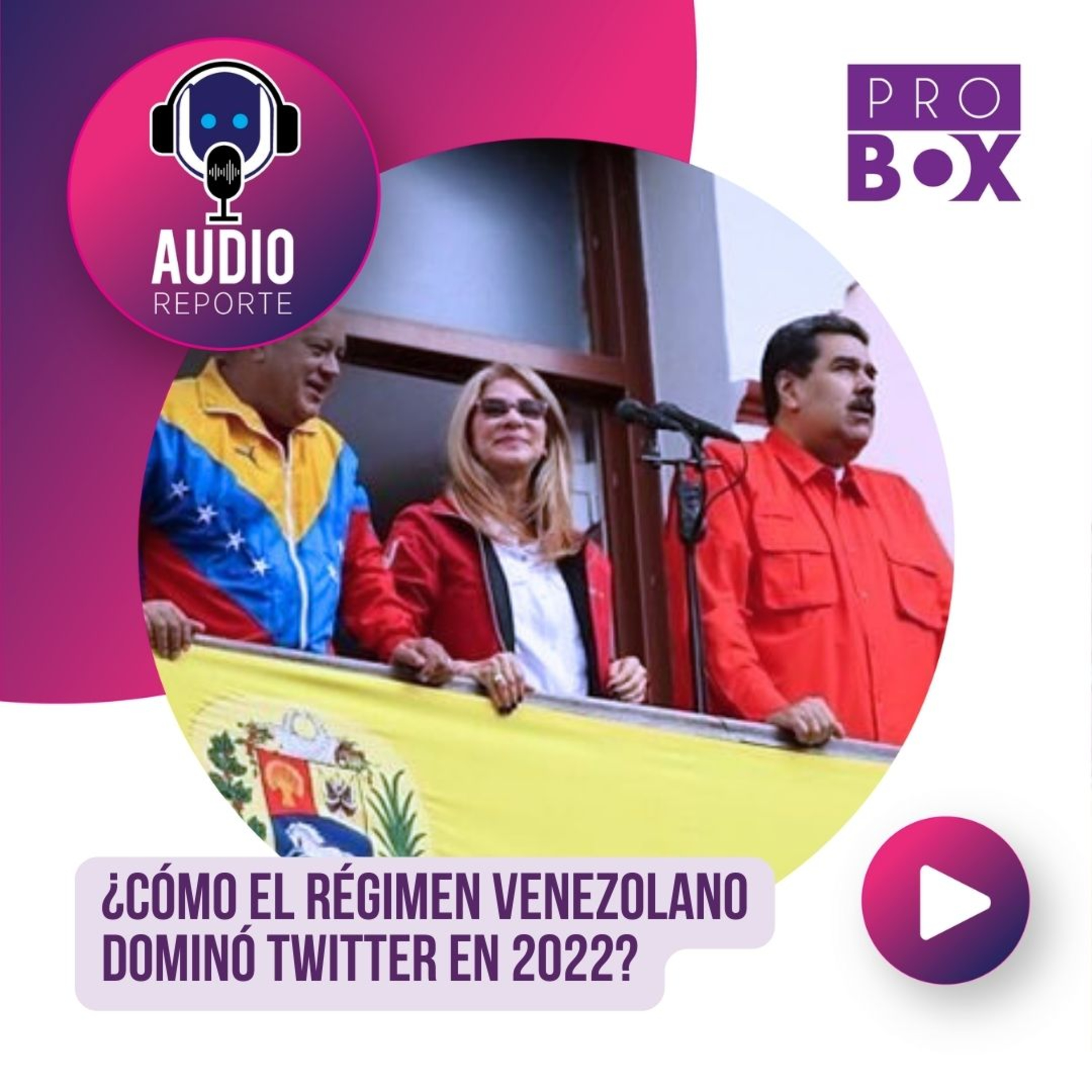 AudioReporte ProBox