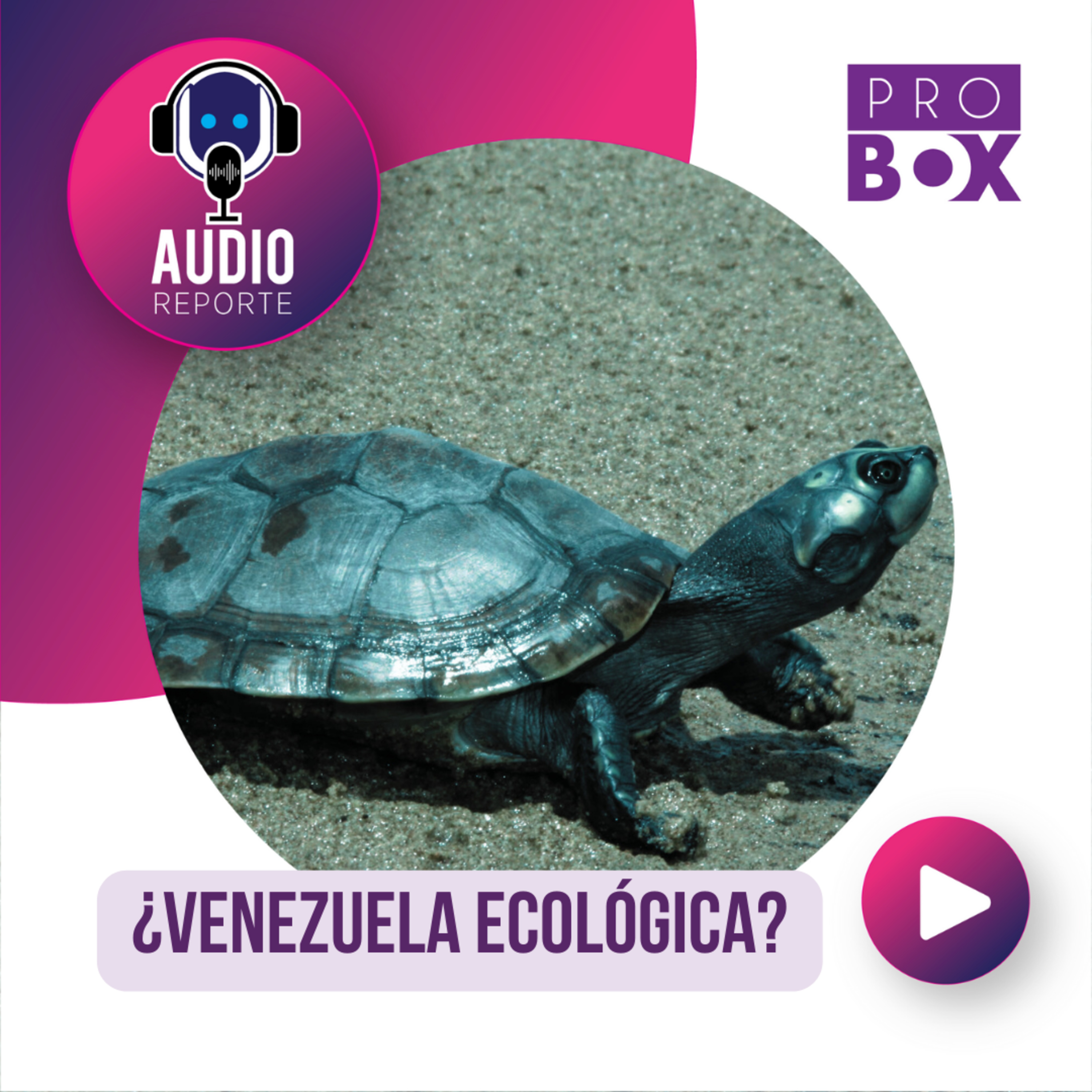 AudioReporte ProBox