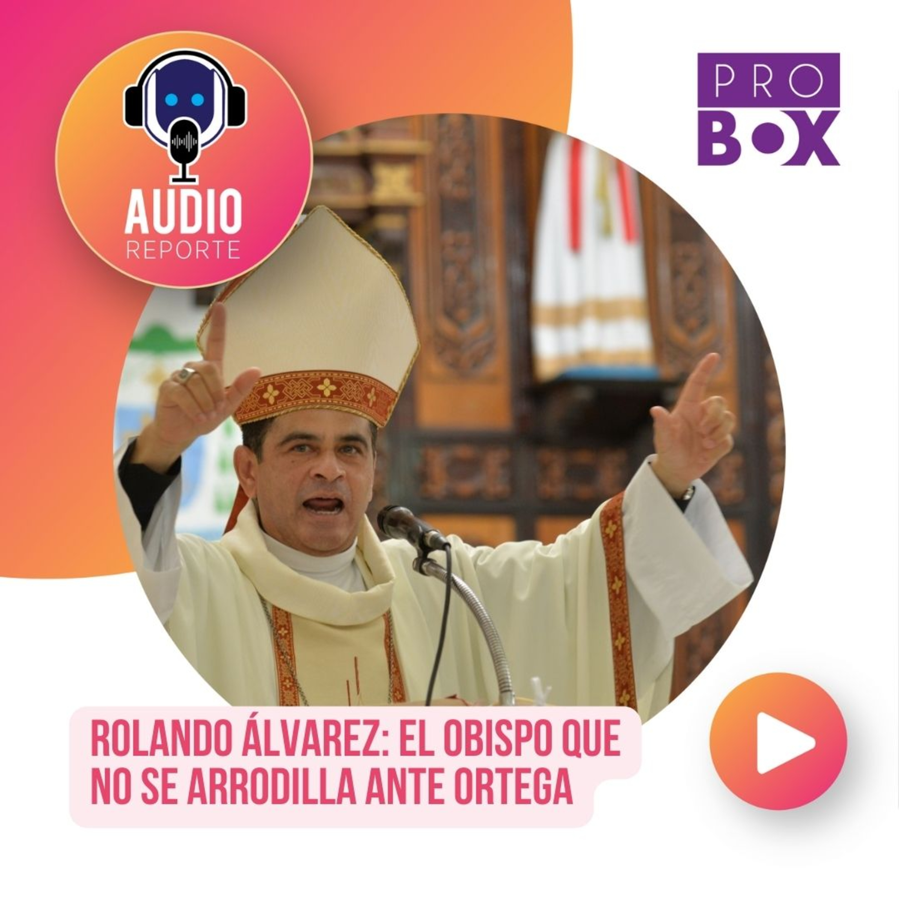 AudioReporte ProBox