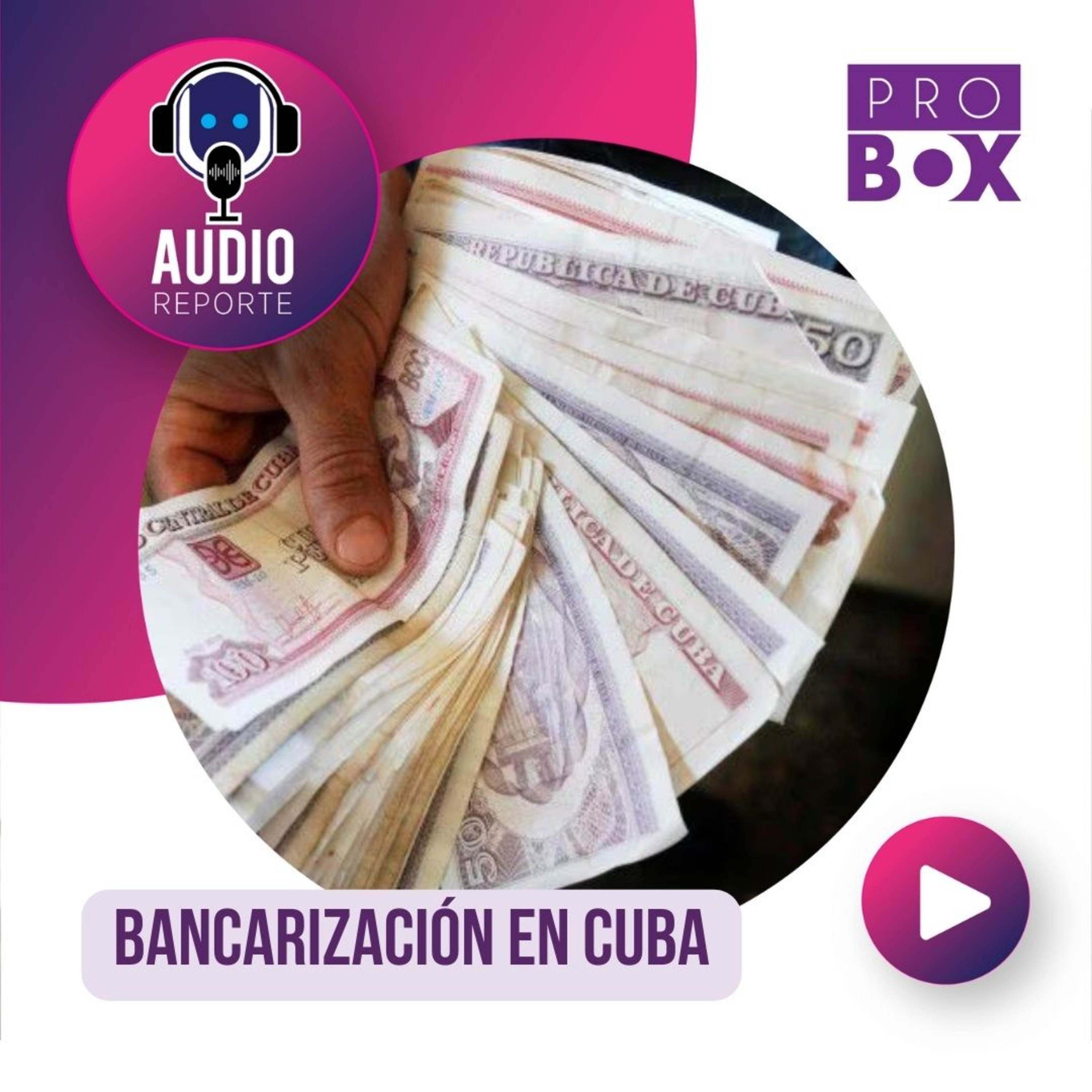 AudioReporte ProBox