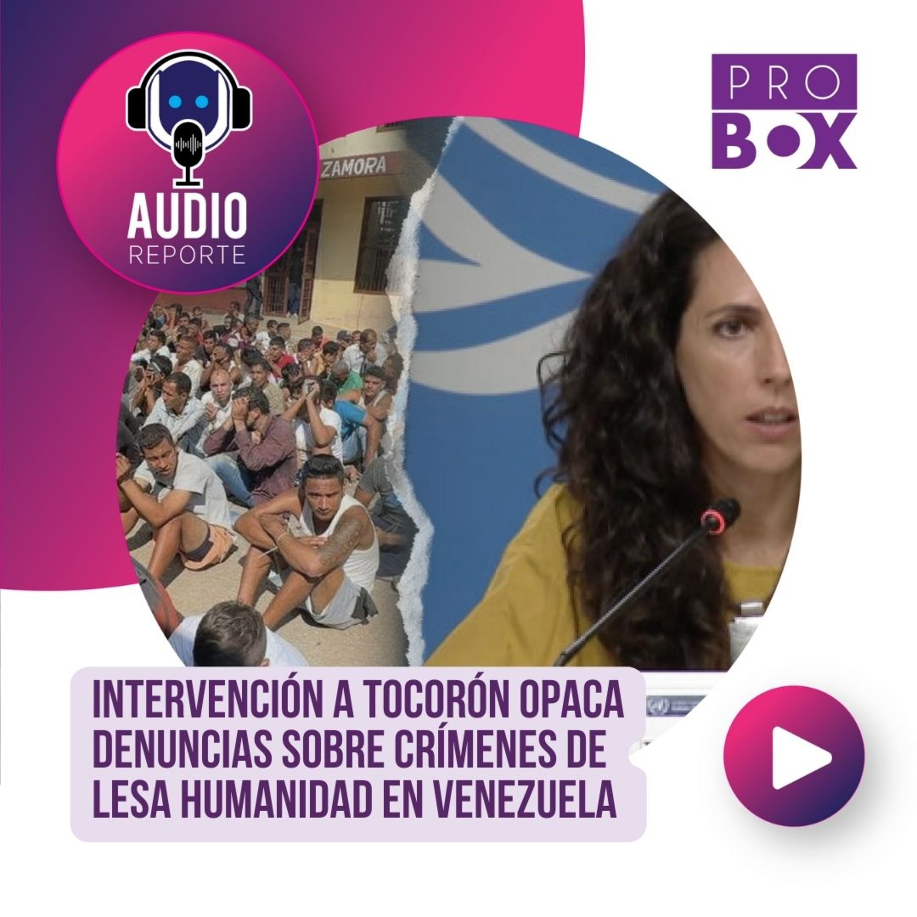 AudioReporte ProBox