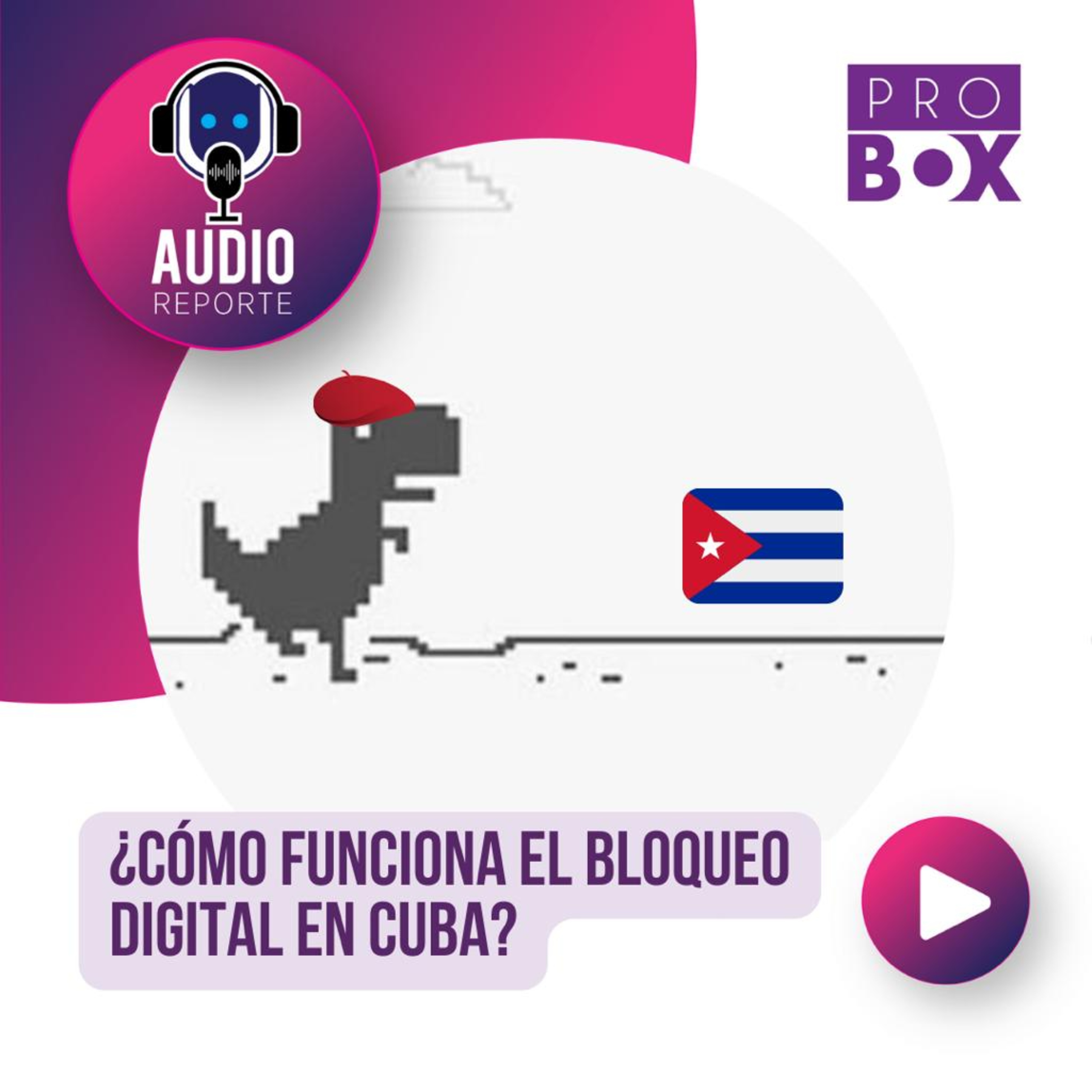 AudioReporte ProBox