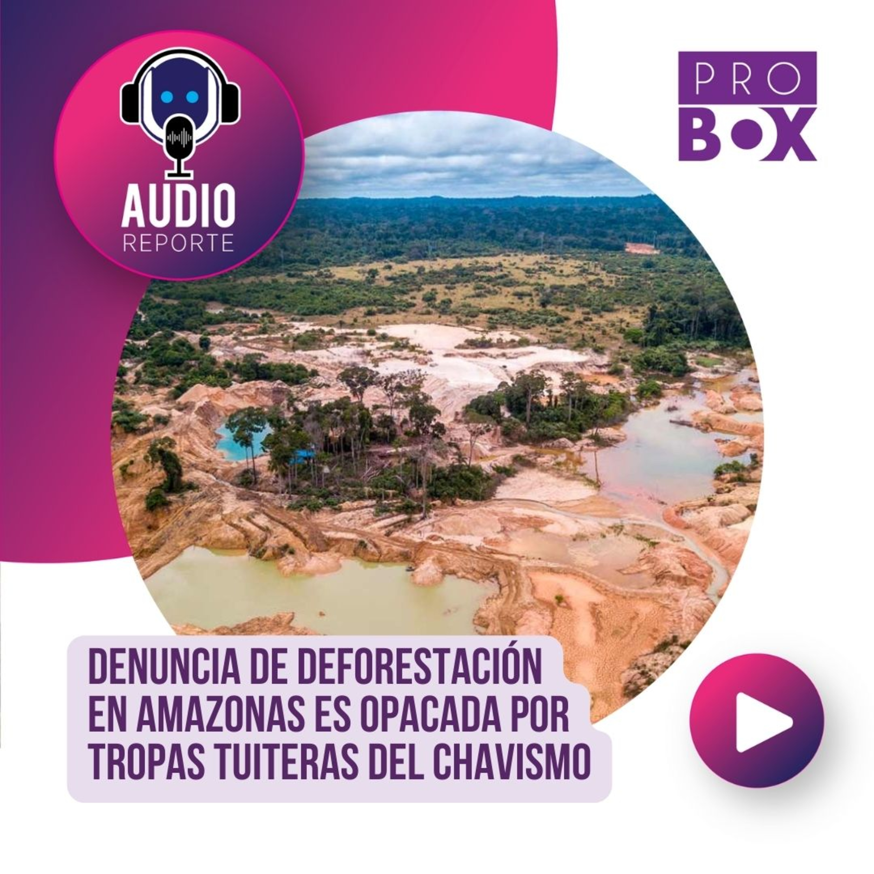 AudioReporte ProBox