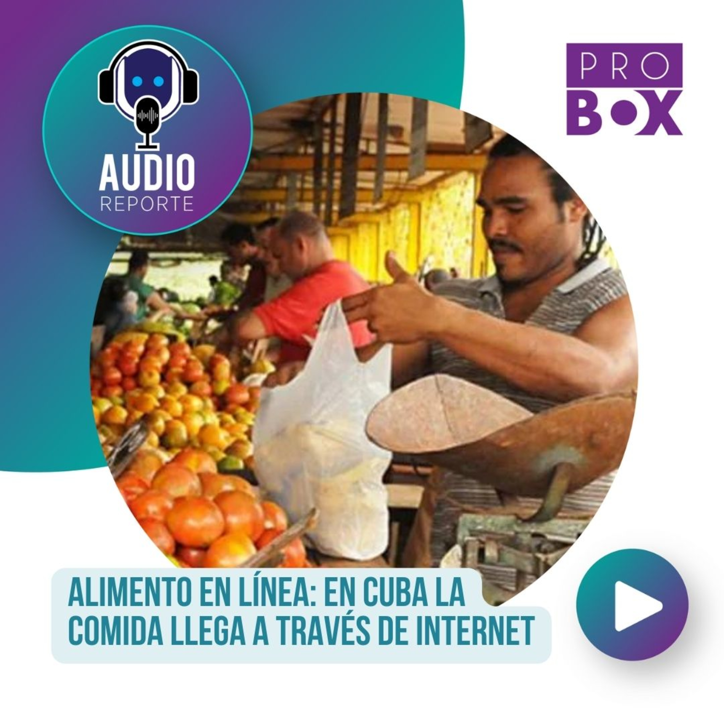 AudioReporte ProBox