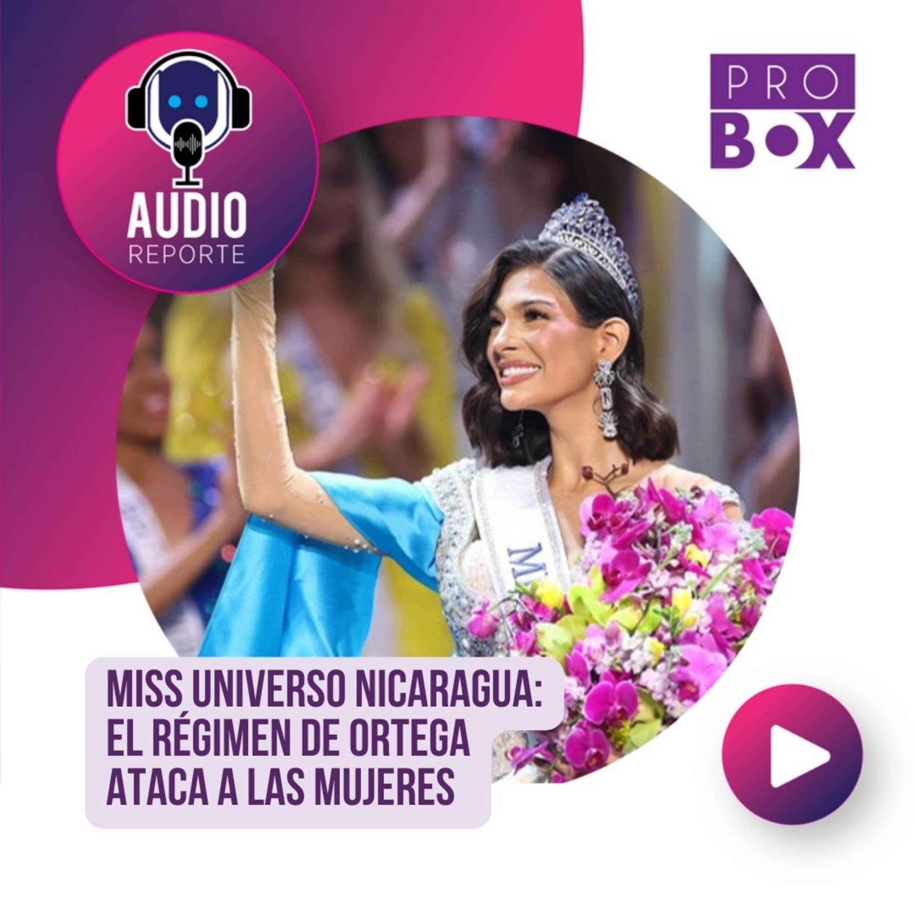 AudioReporte ProBox