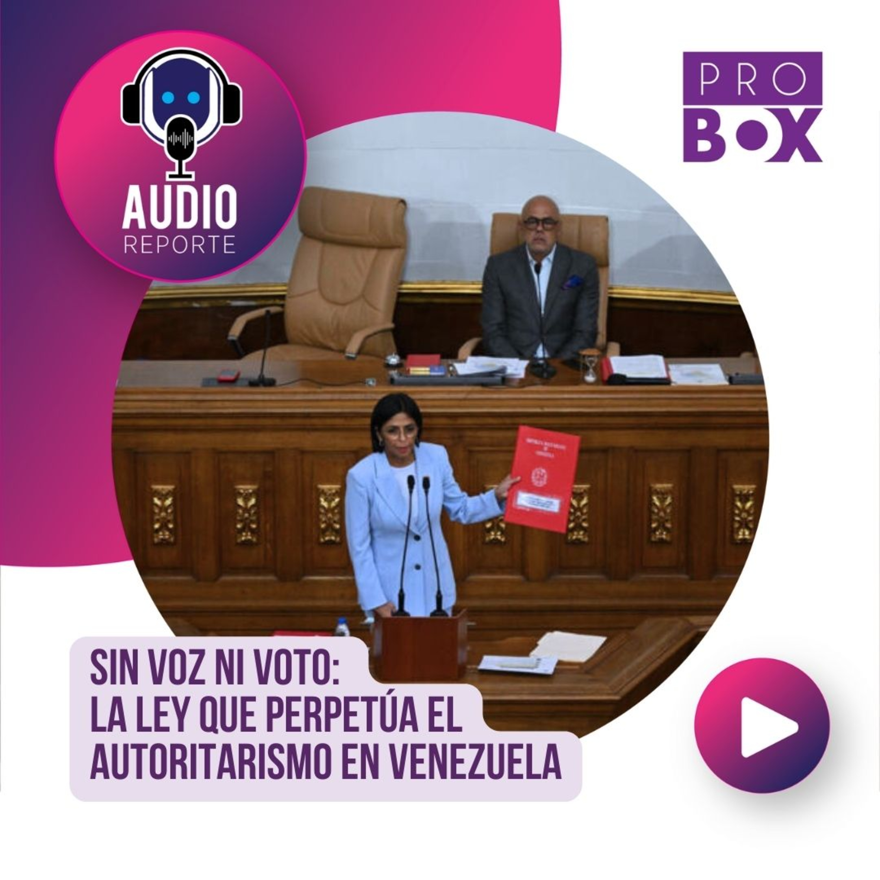 AudioReporte ProBox