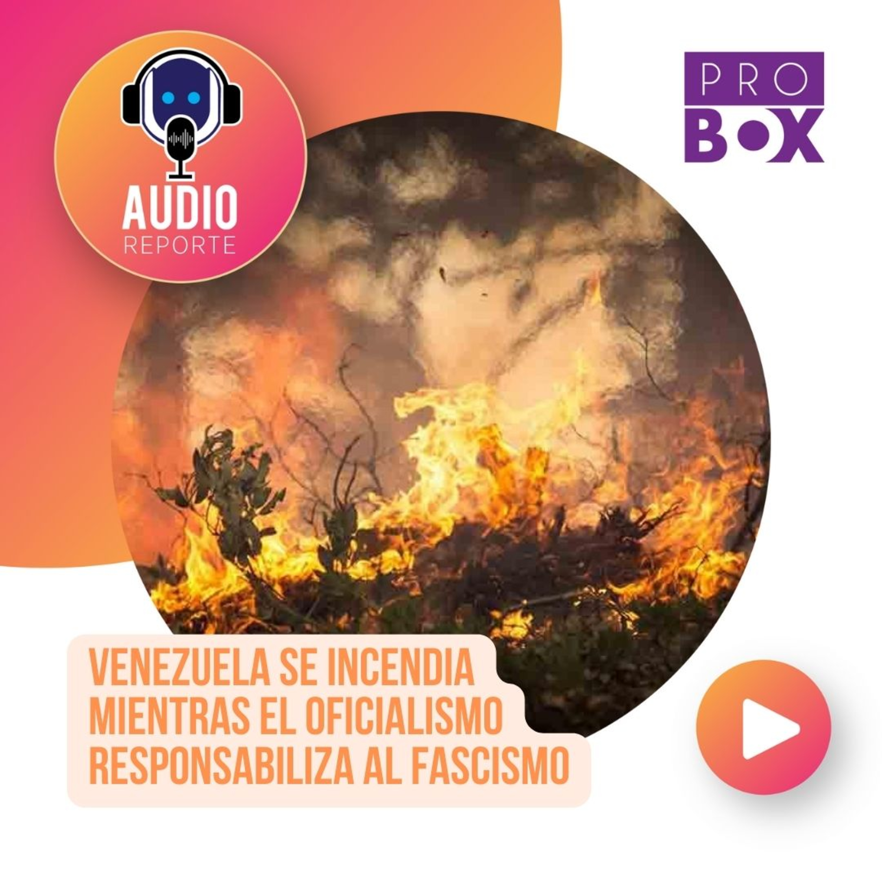 AudioReporte ProBox