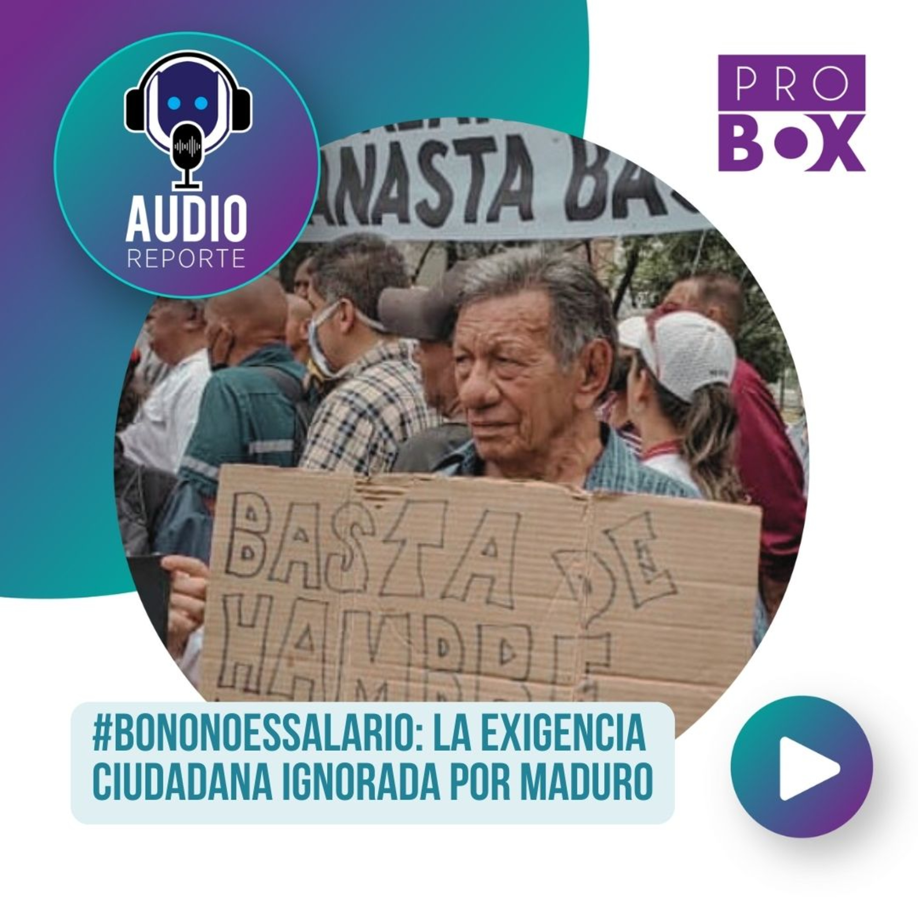 AudioReporte ProBox