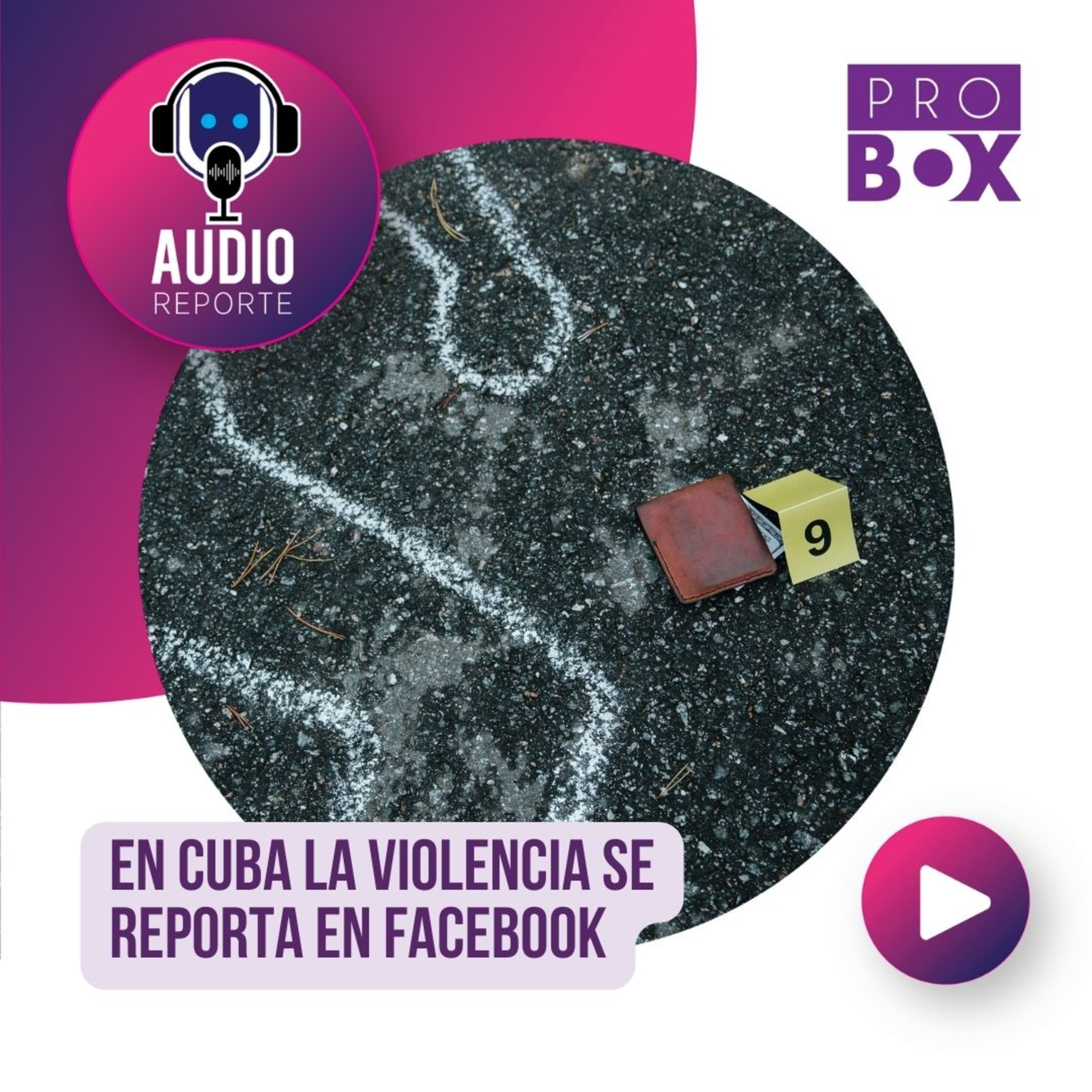 AudioReporte ProBox