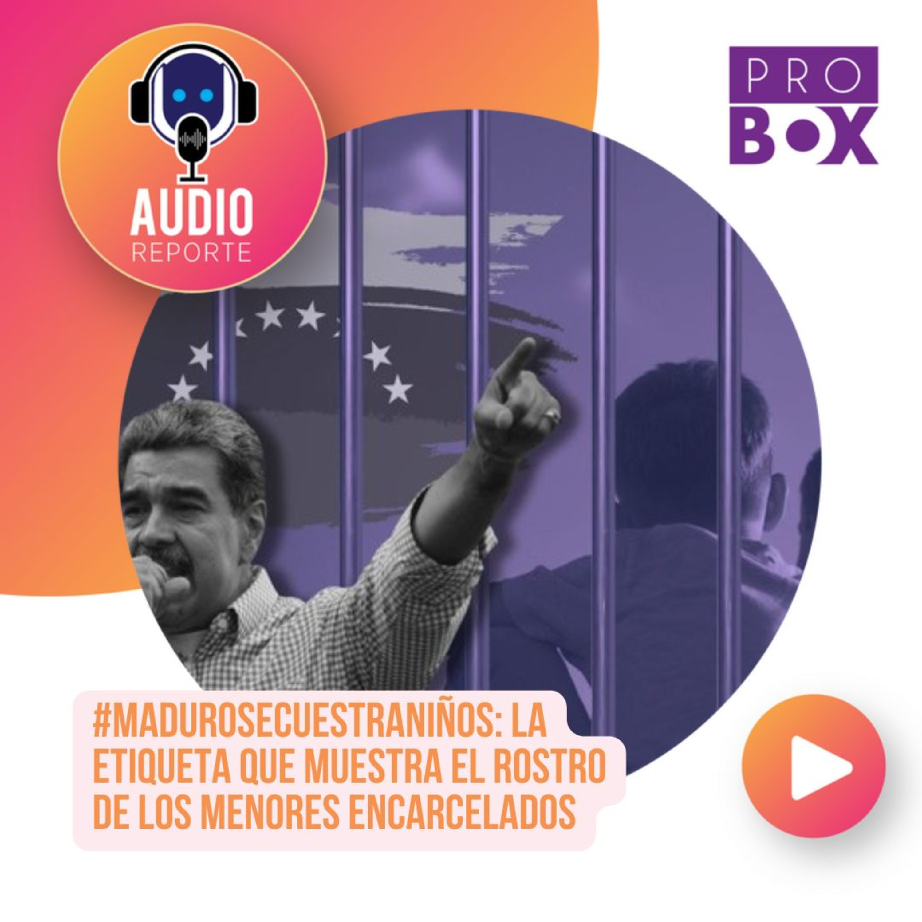 AudioReporte ProBox