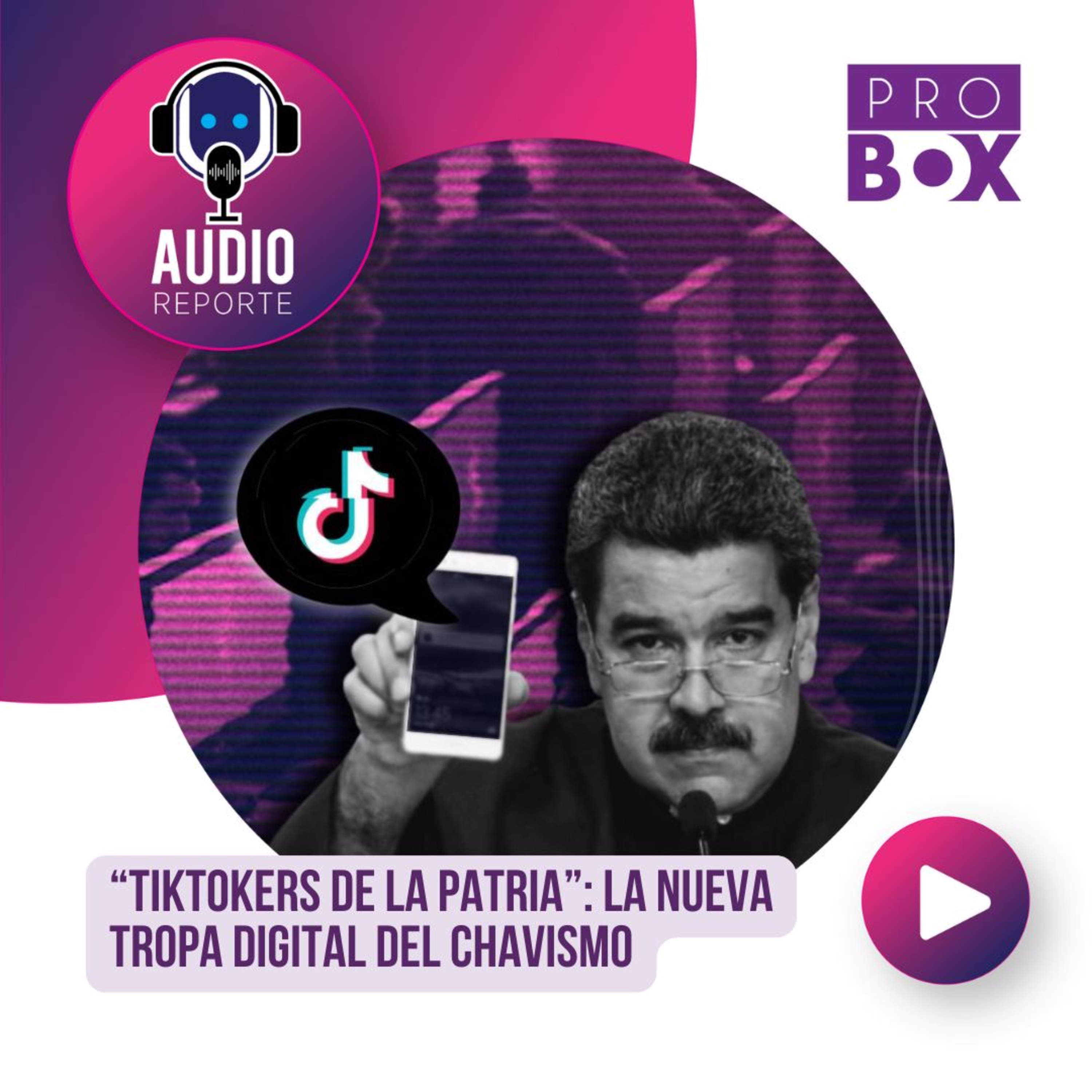 AudioReporte ProBox