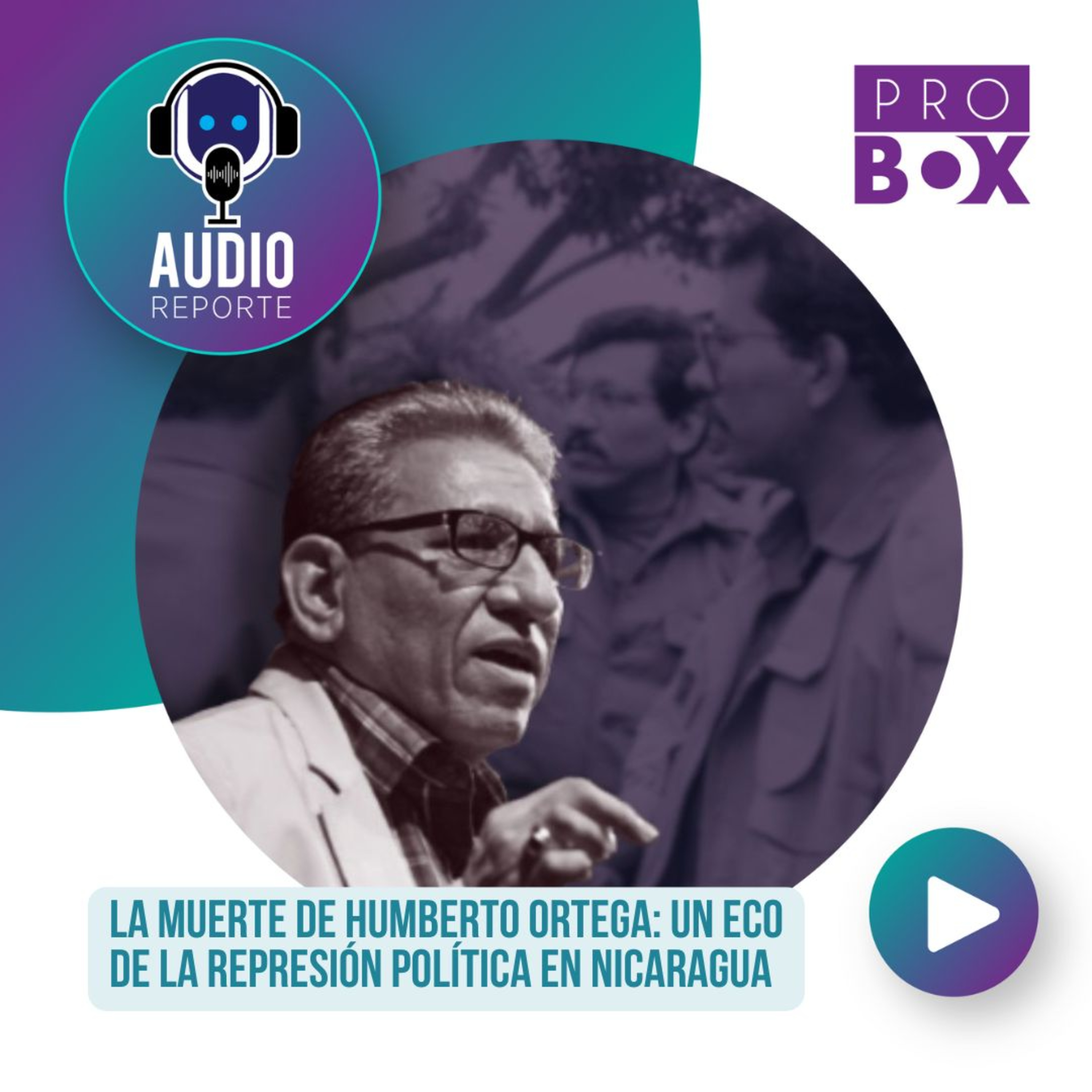 AudioReporte ProBox