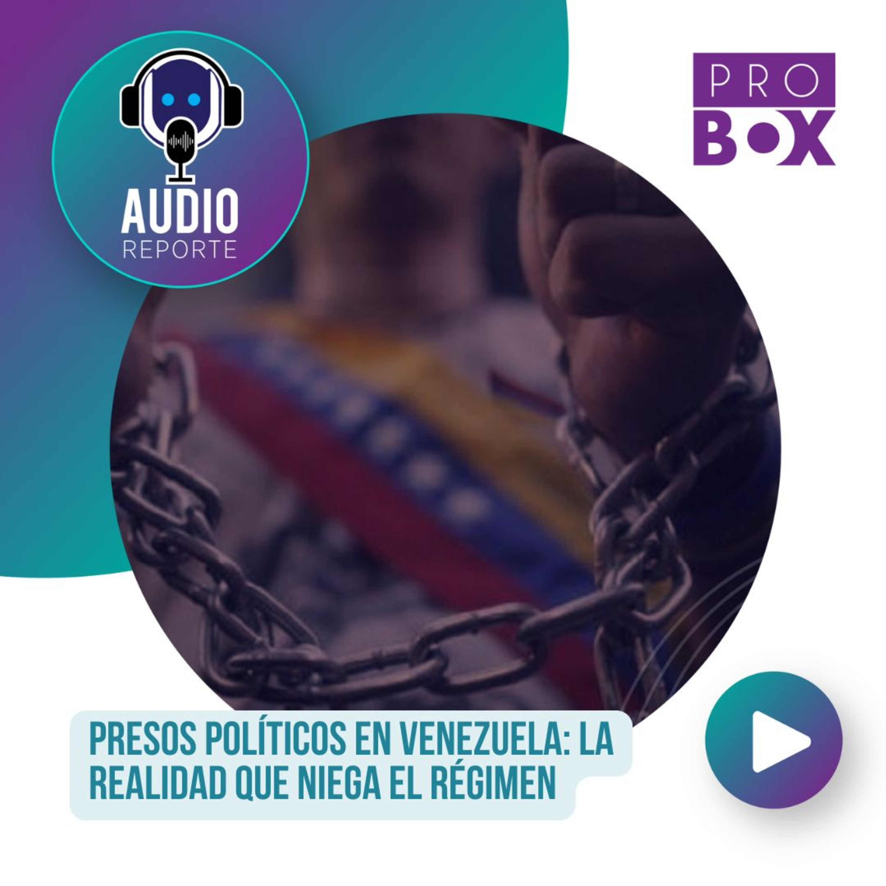 AudioReporte ProBox