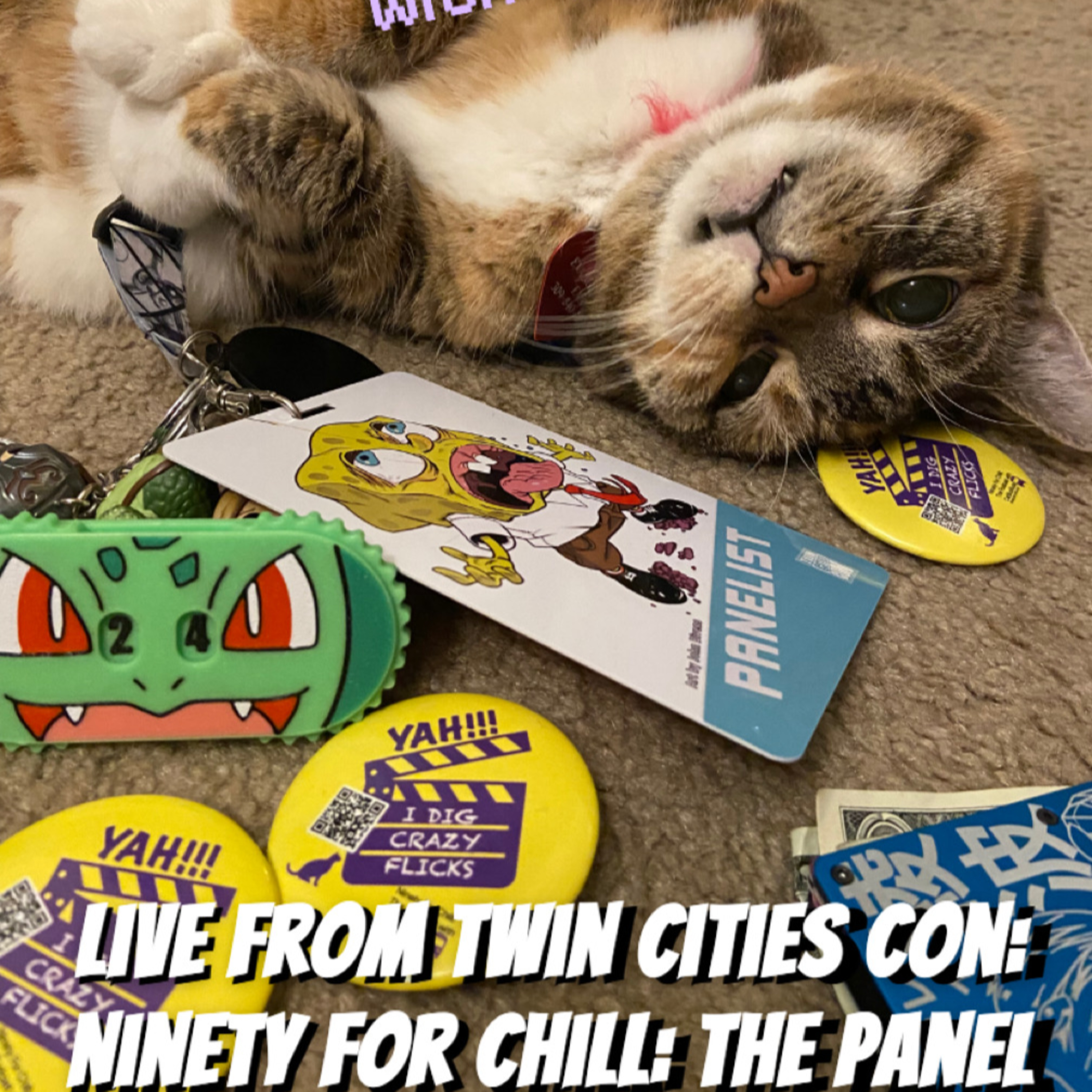 Live From Twin Cities Con 2024 - Ninety For Chill: The Panel episode artwork
