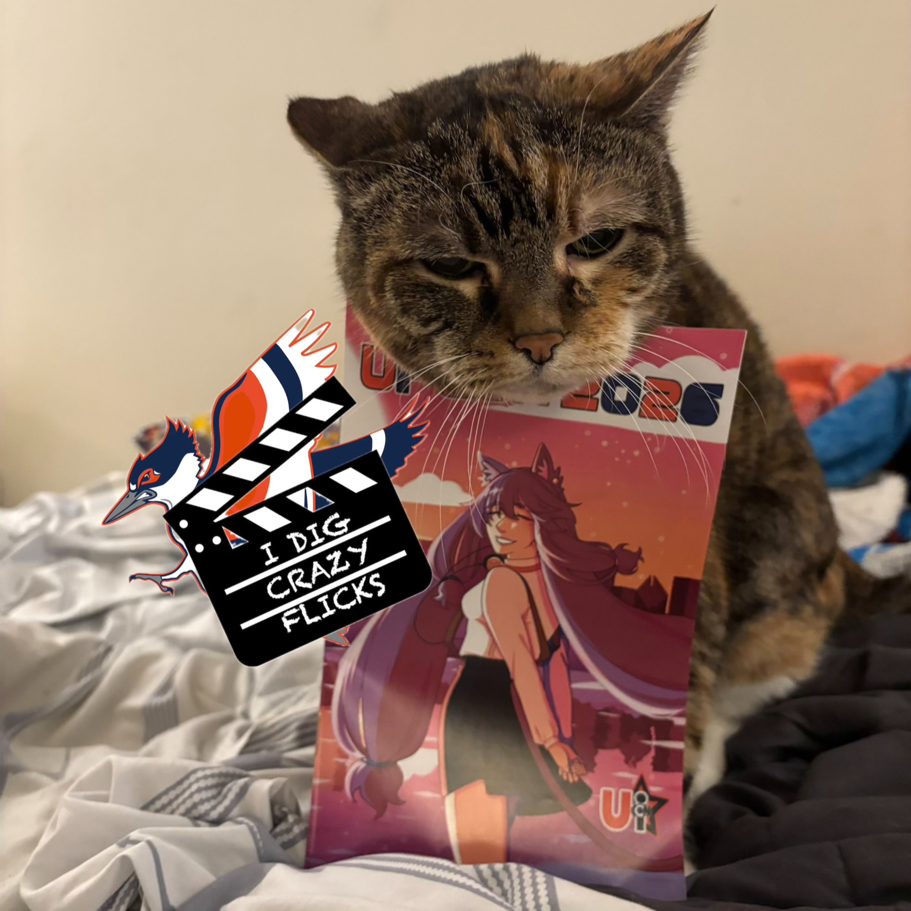 I Dig Crazy Flicks with CatBusRuss