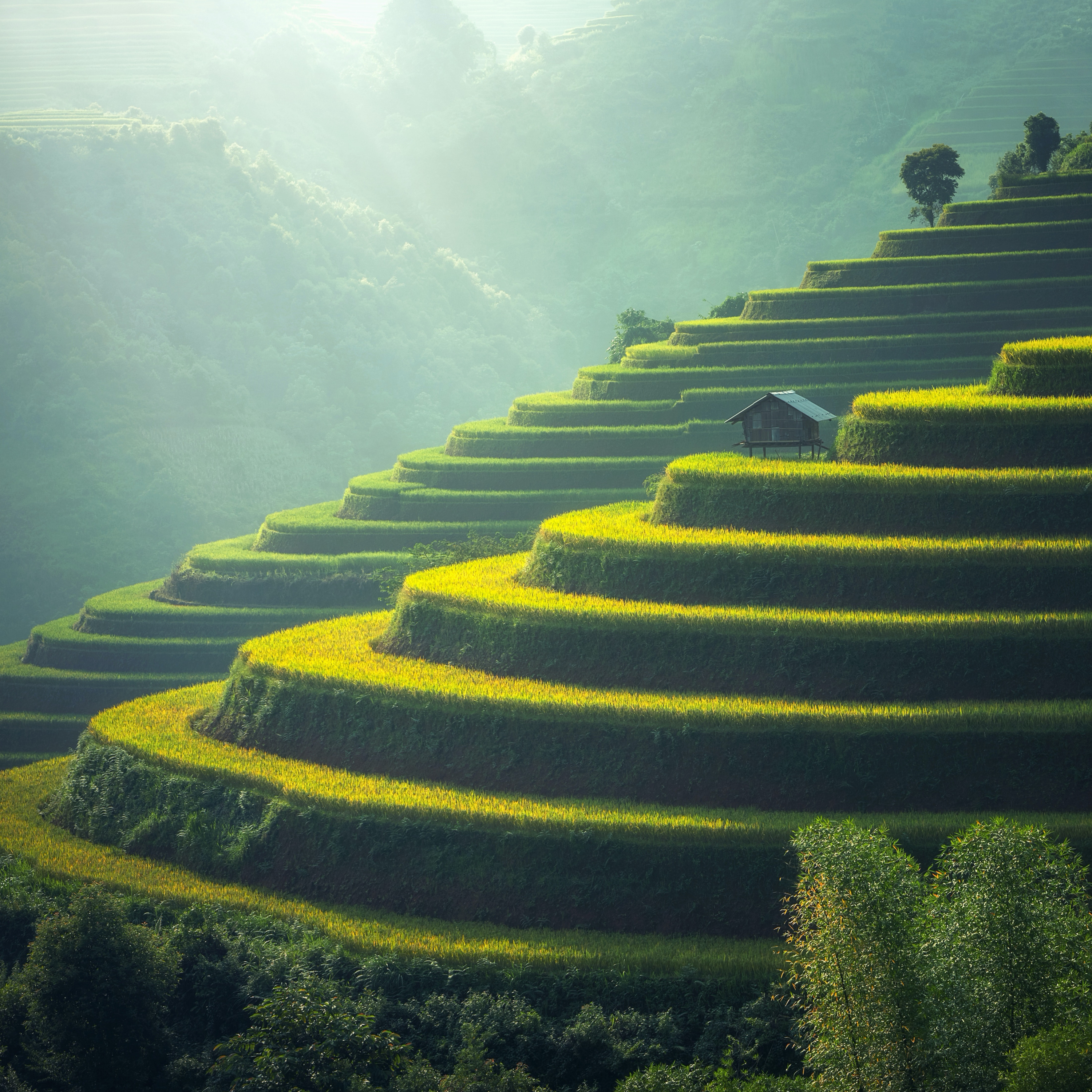 #33 - Ang Pinakamagandang Lugar sa Luzon? / The Most Beautiful Place in Luzon? (Ifugao Rice Terraces) episode artwork